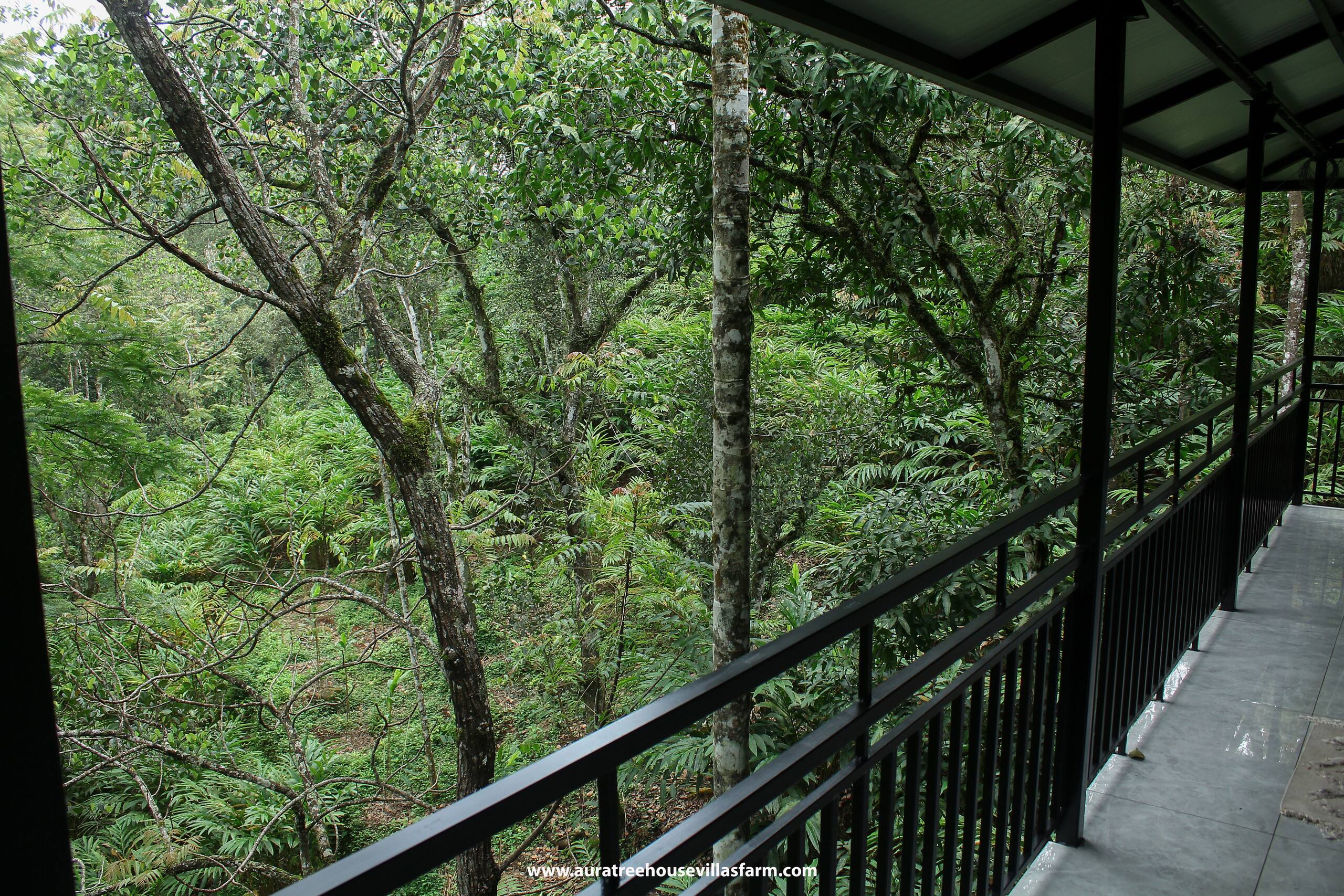 Aura Tree House Villa Farm 1 Bedroom 26