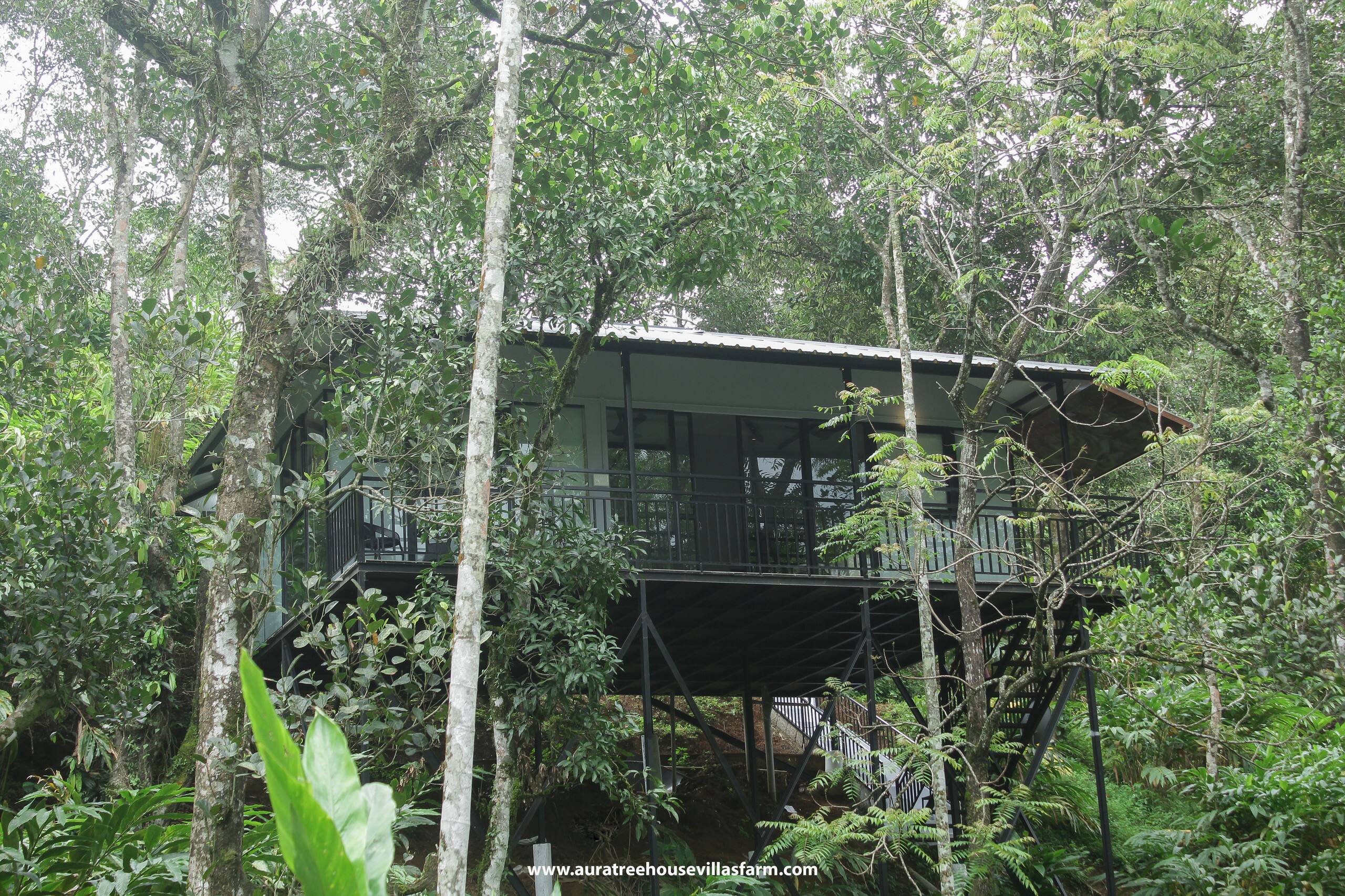 Aura Tree House Villa Farm 1 Bedroom 23