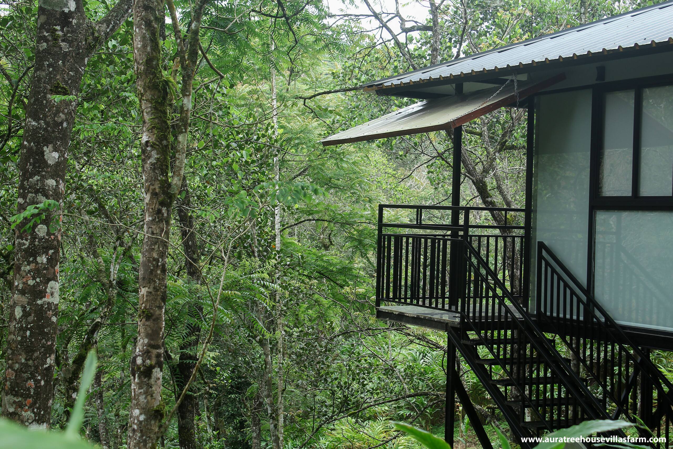 Aura Tree House Villa Farm 1 Bedroom 29