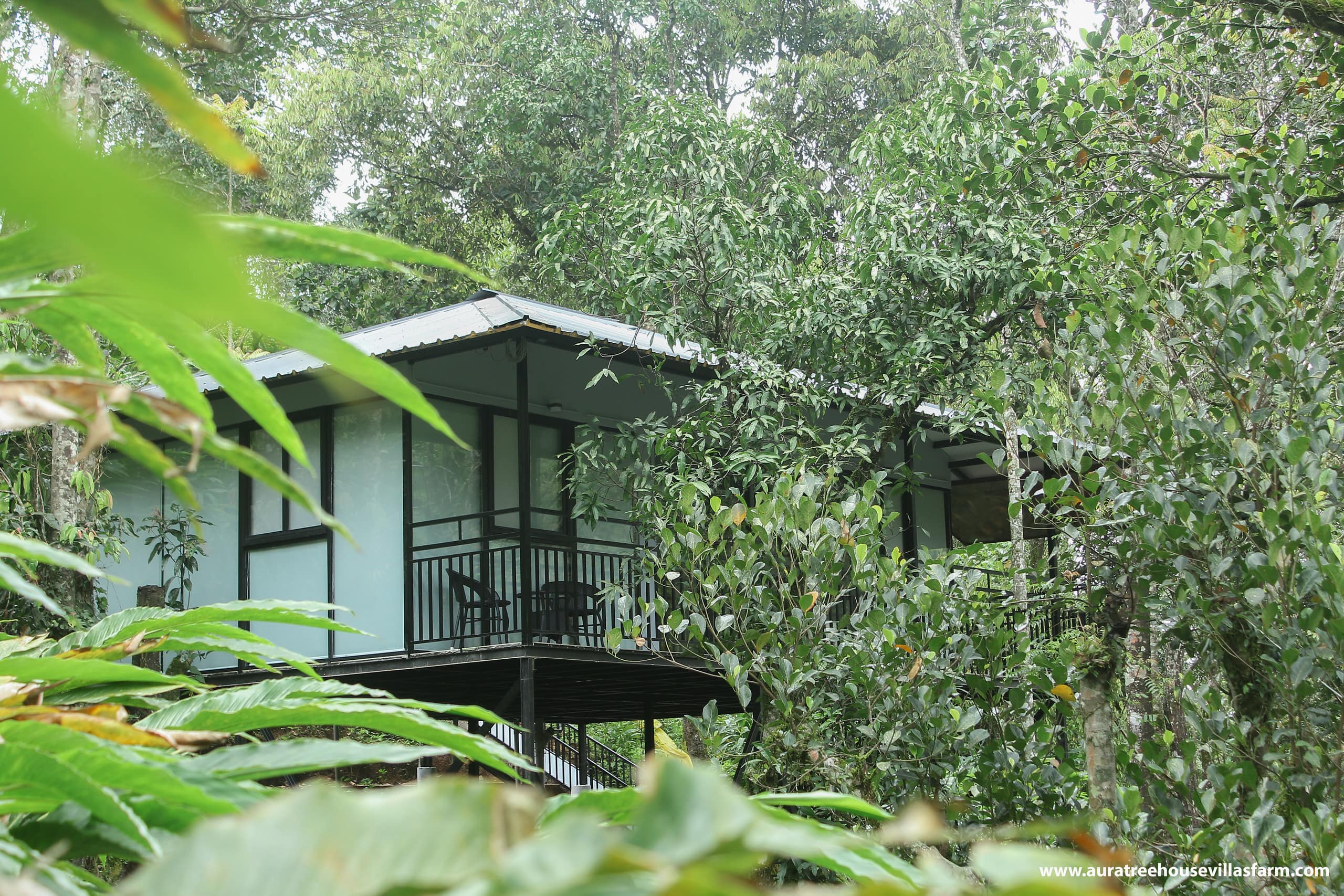 Aura Tree House Villa Farm 1 Bedroom