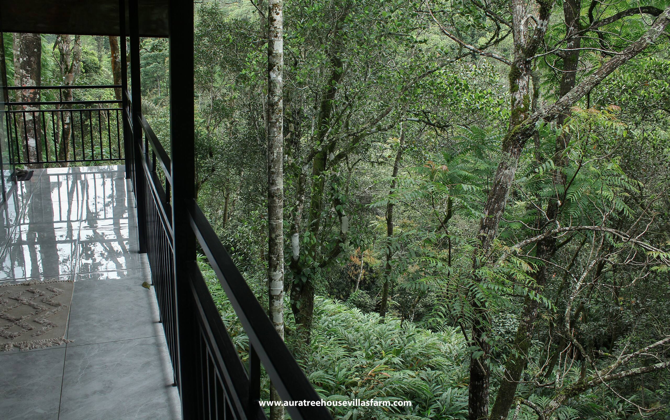 Aura Tree House Villa Farm 1 Bedroom 28