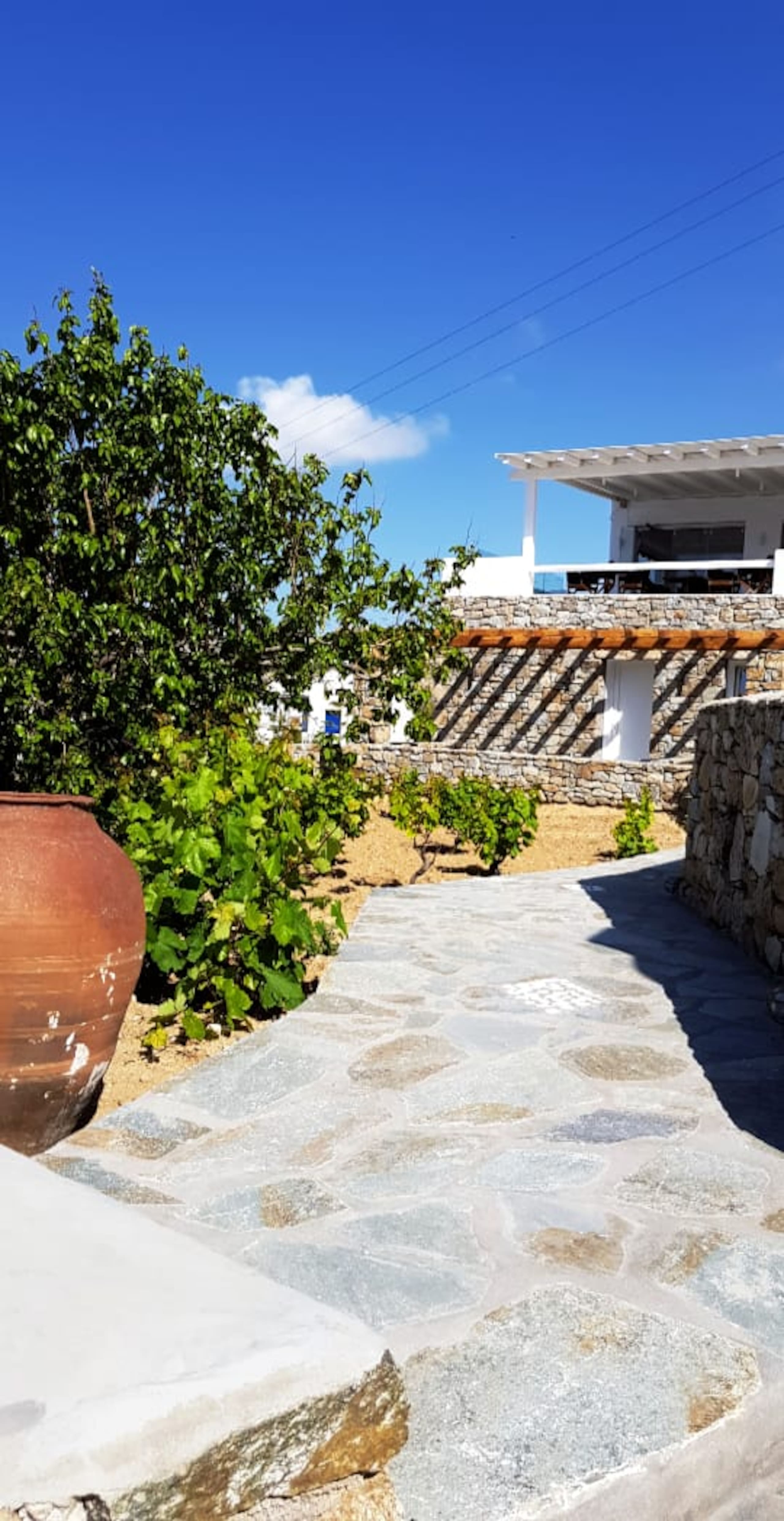 Seethroughmykonos\nStandard Room With Sea view