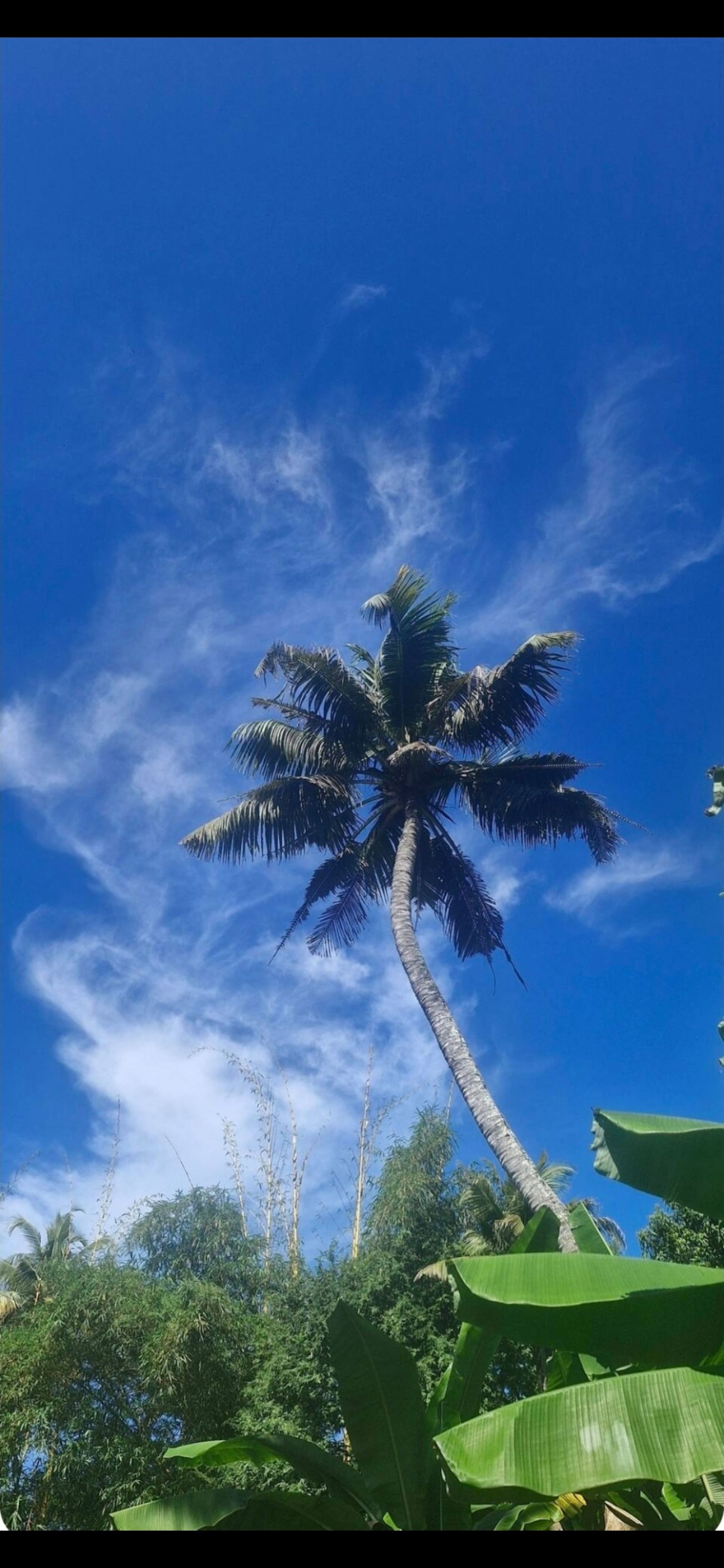 Blue Cove Villa | Pvt Terrace Pool | 2 - 4 Guest 15