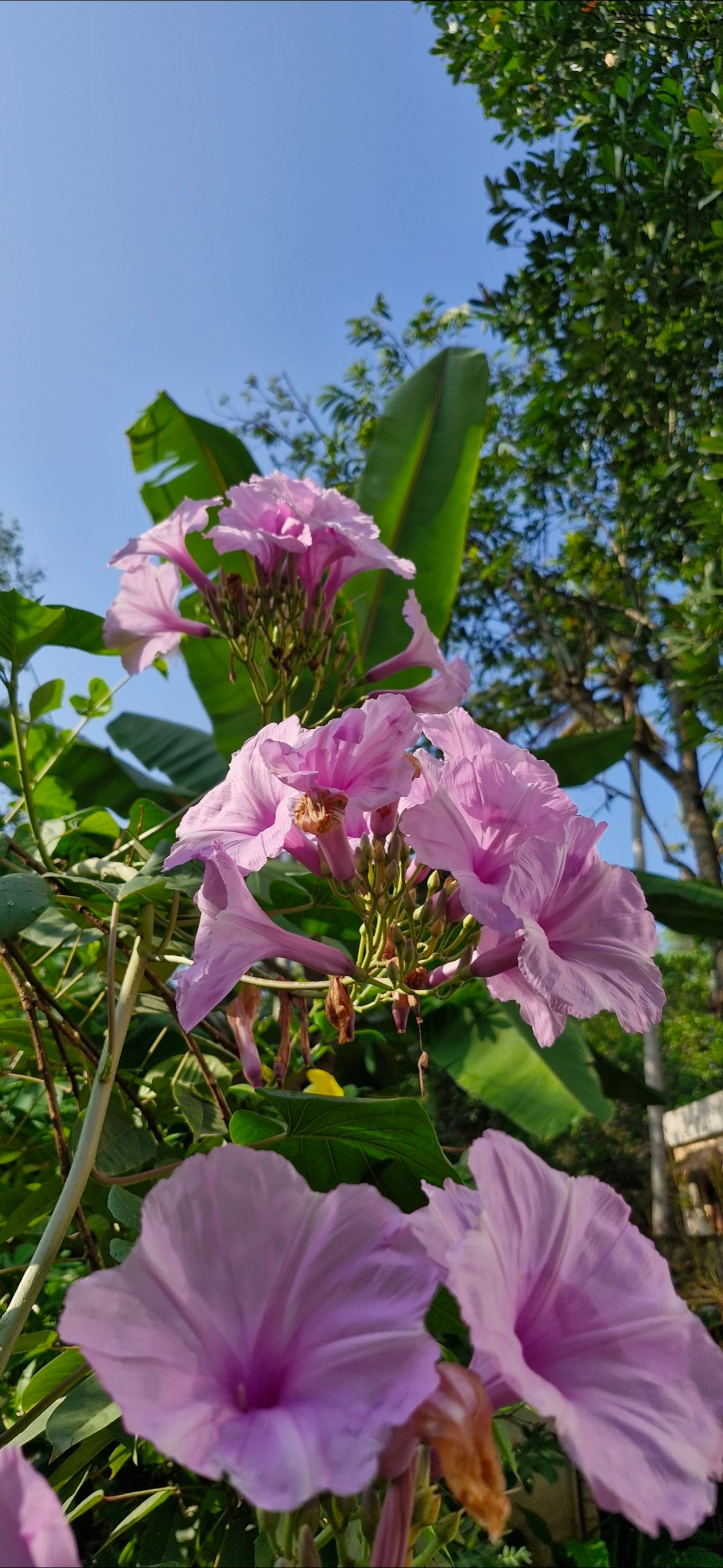 Blue Cove Villa | Pvt Terrace Pool | 2 - 4 Guest 18