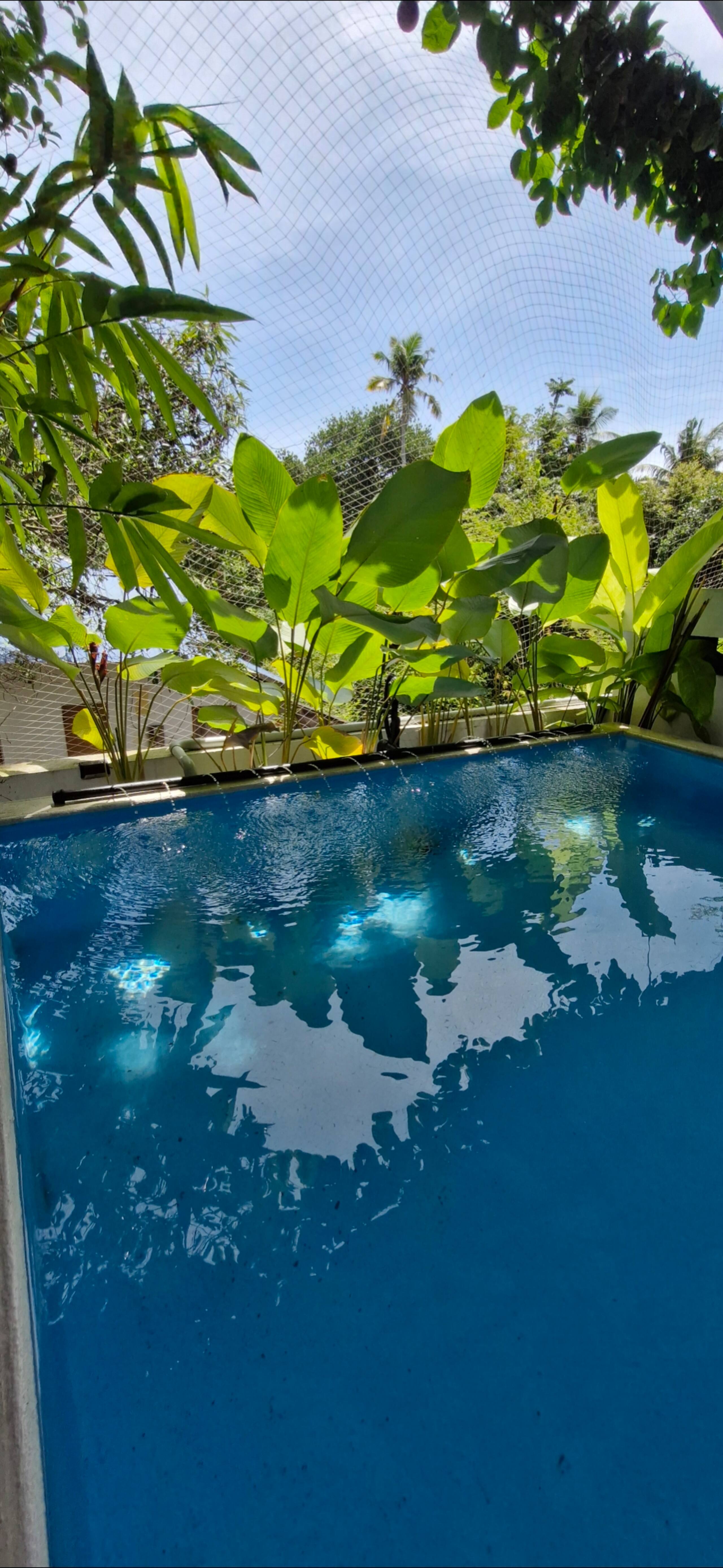 Blue Cove Villa | Pvt Terrace Pool | 2 - 4 Guest 24