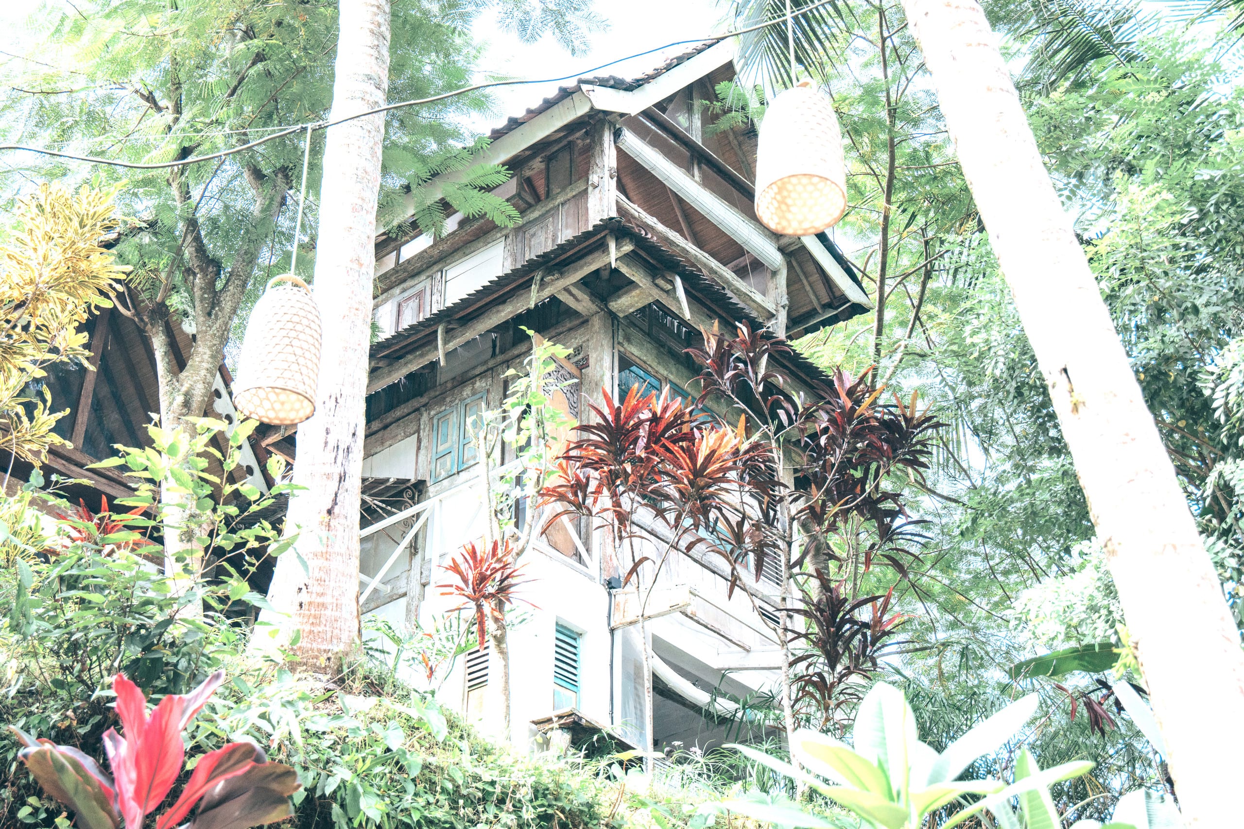 Trinity Gardens Wild BeautifulJungle Villa 32
