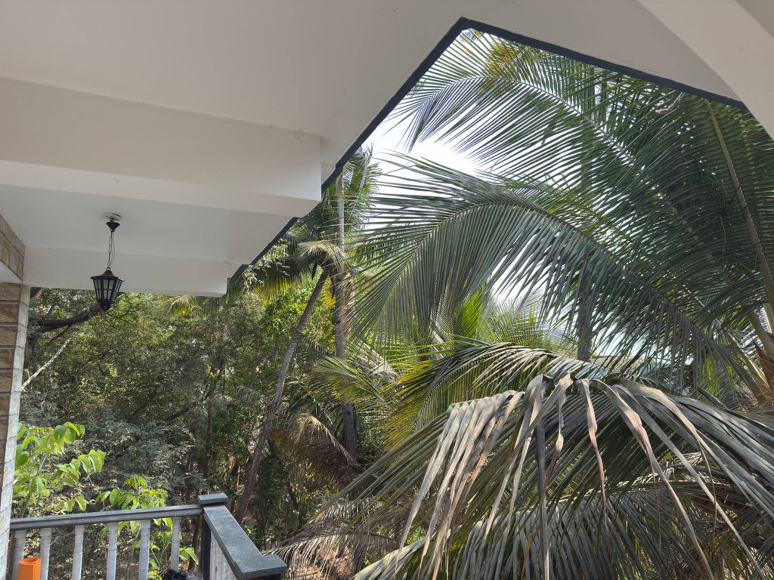 Luna | 1 BHK Compact Apartment | With Power Backup 10