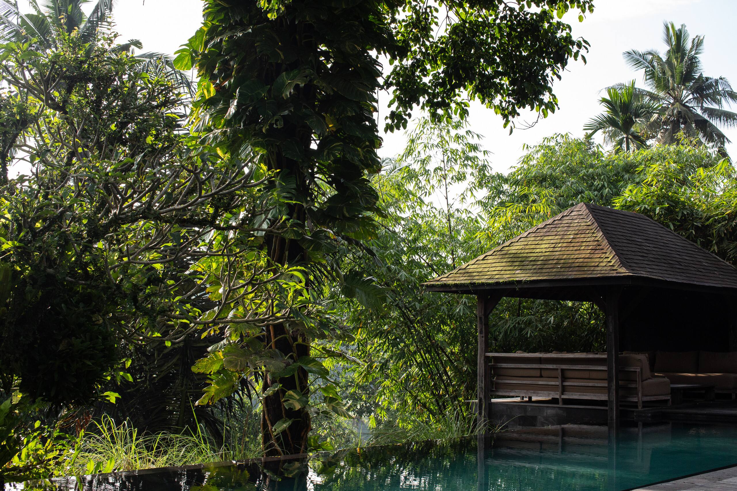 Rain House - 3 bedroom pool villa 35