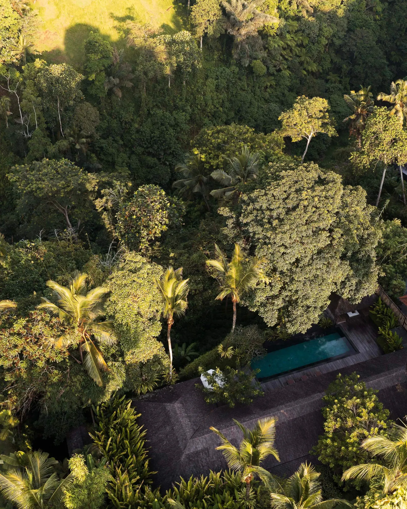 Rain House - 3 bedroom pool villa — photo 5