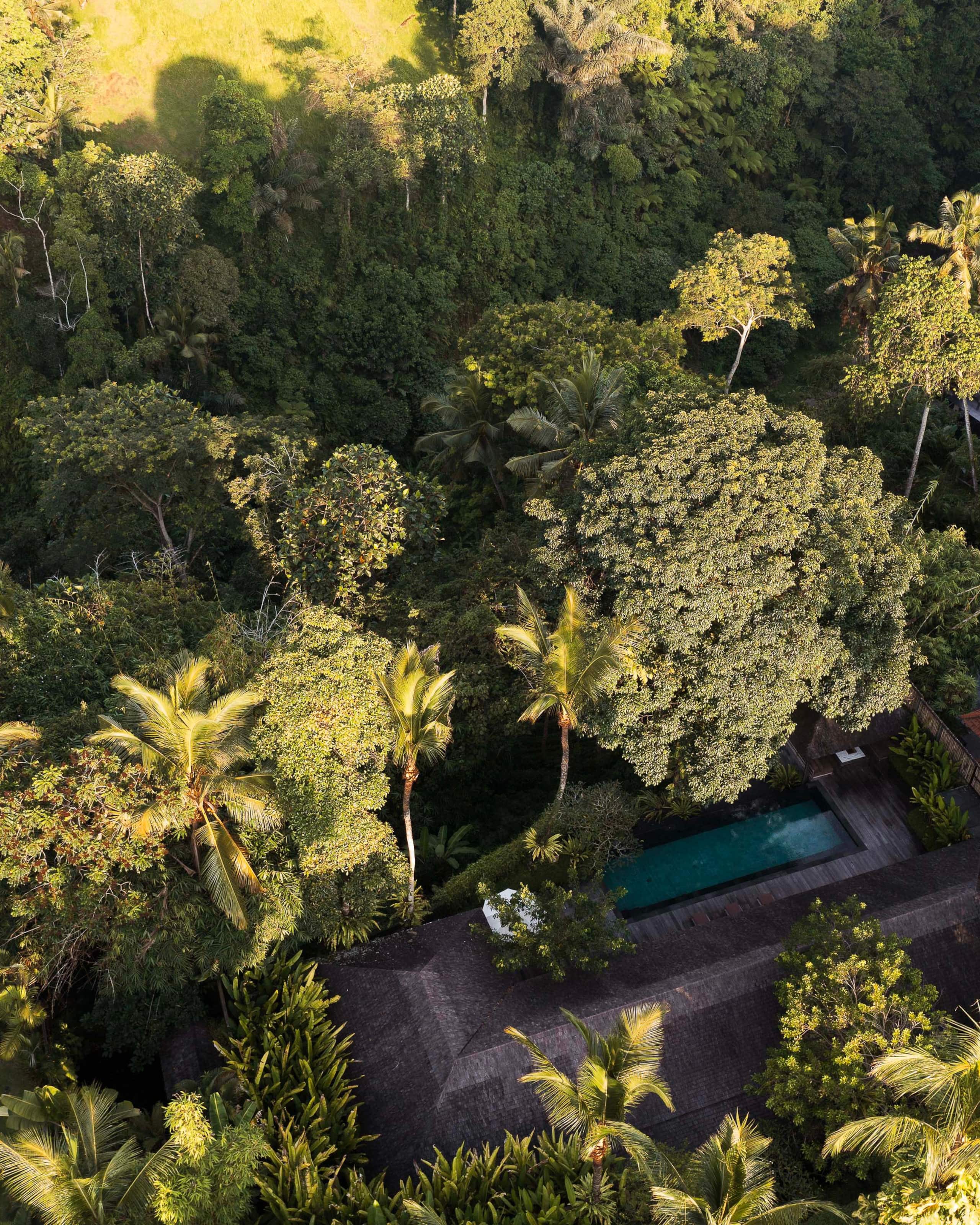 Rain House - 3 bedroom pool villa — photo 5