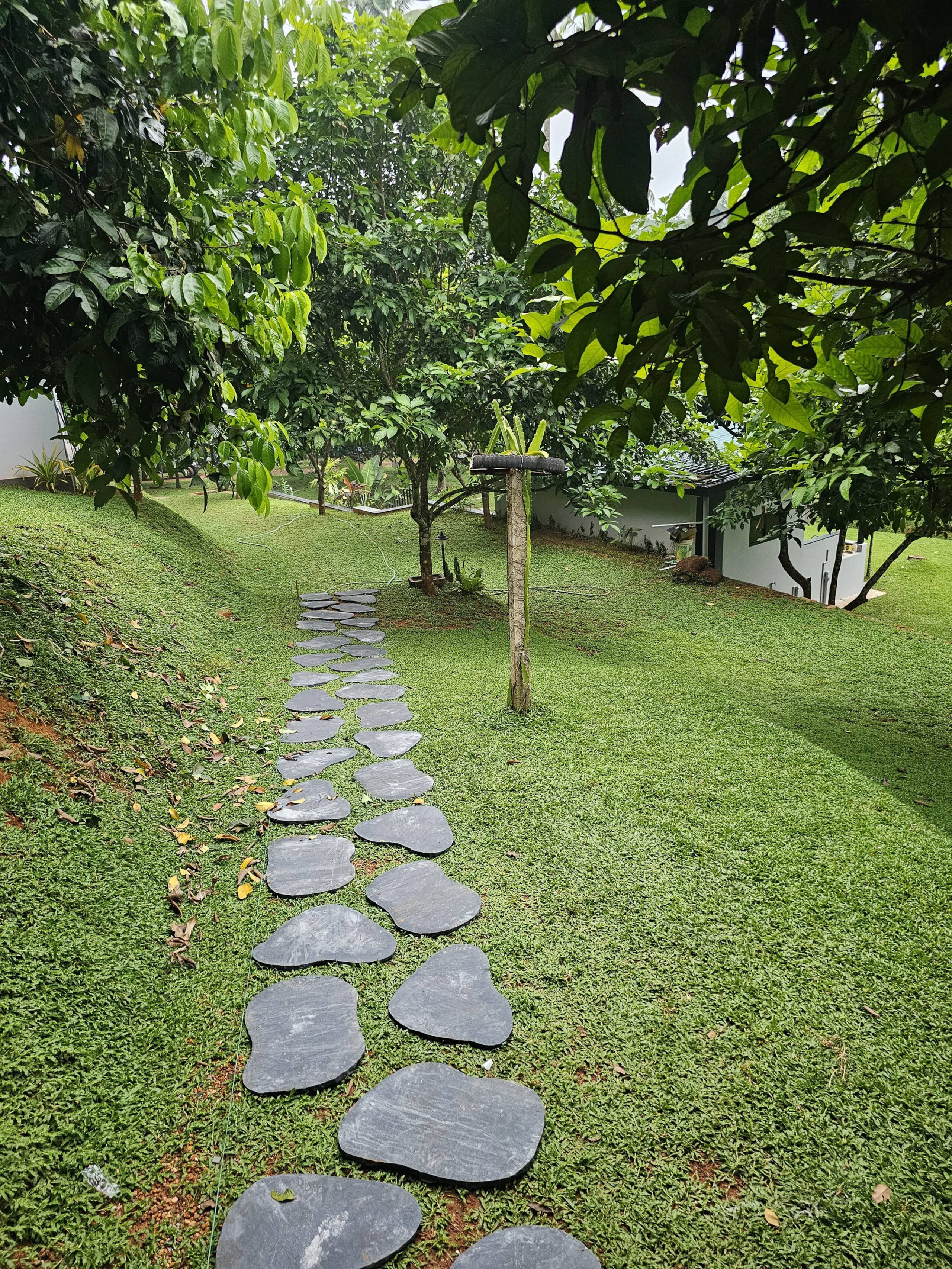 Treely Stays -Luxury Pool Cottages -Farm Stay 8