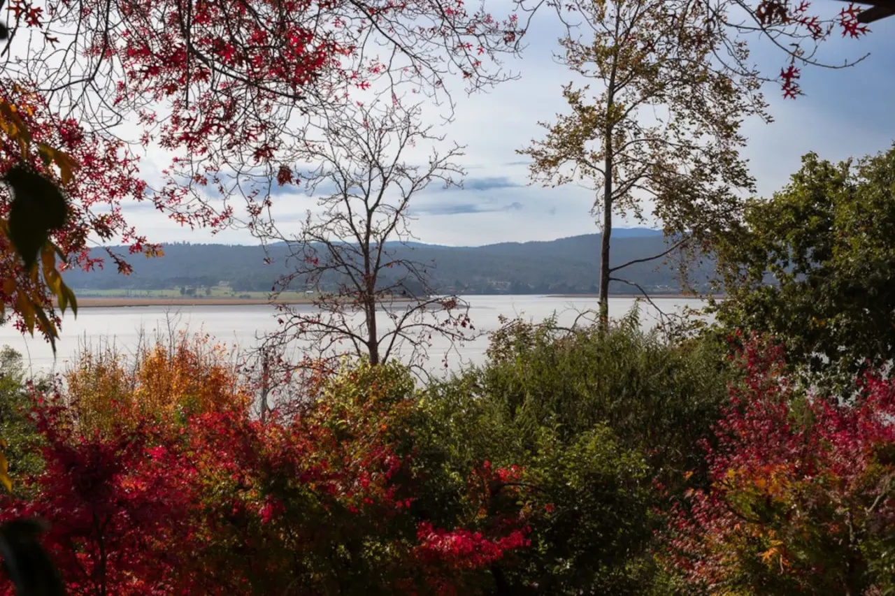 Stella-Rose Cottage - Rosevears — photo 2