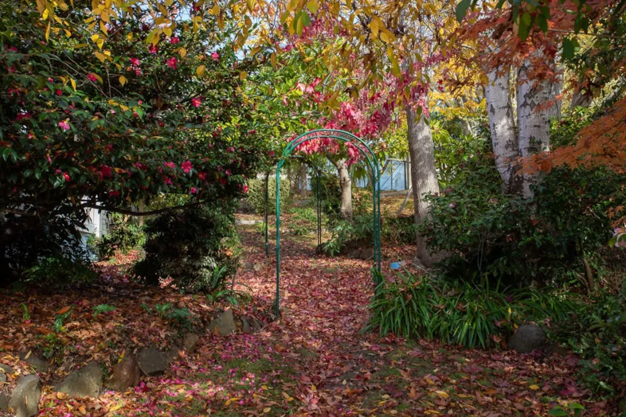 Stella-Rose Cottage - Rosevears 12