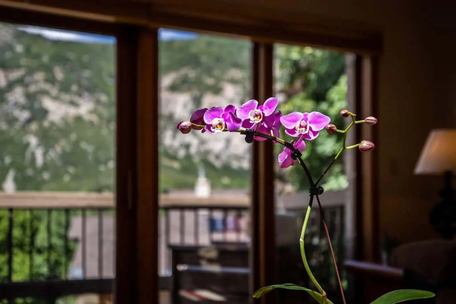 Little Cottonwood Retreat Near Alta and Snowbird Sauna + Pool Table Sleeps 16 14