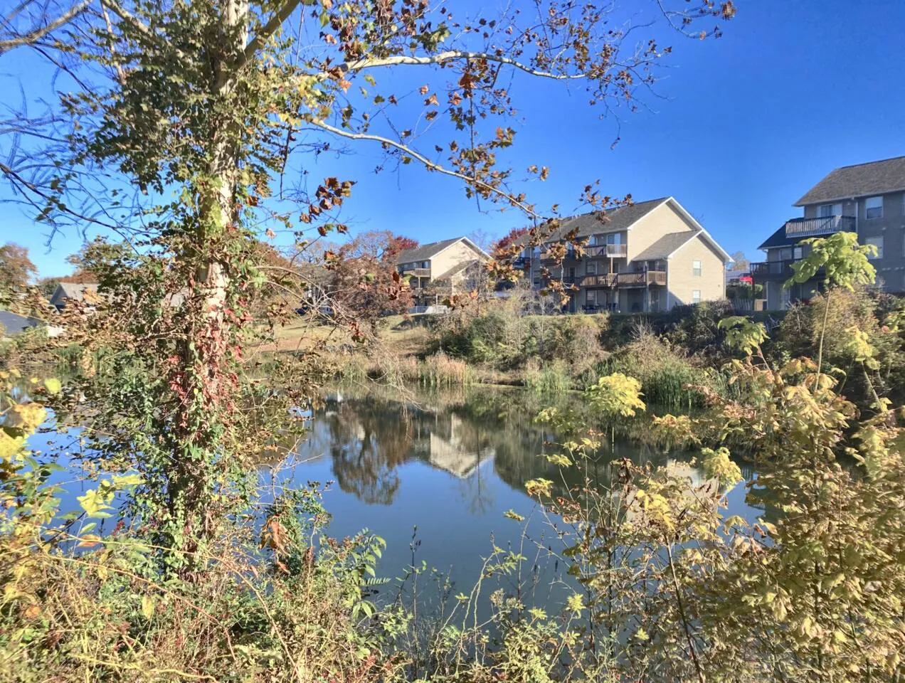 Large w Pond View, Lake Access, Fishing & Sunroom 9