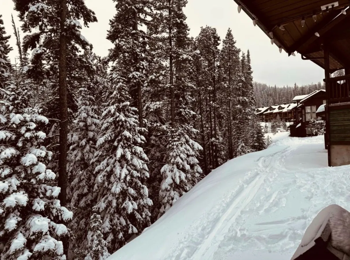 Apex Mountain ~ Winterfell - BC Reg#H375650865 4