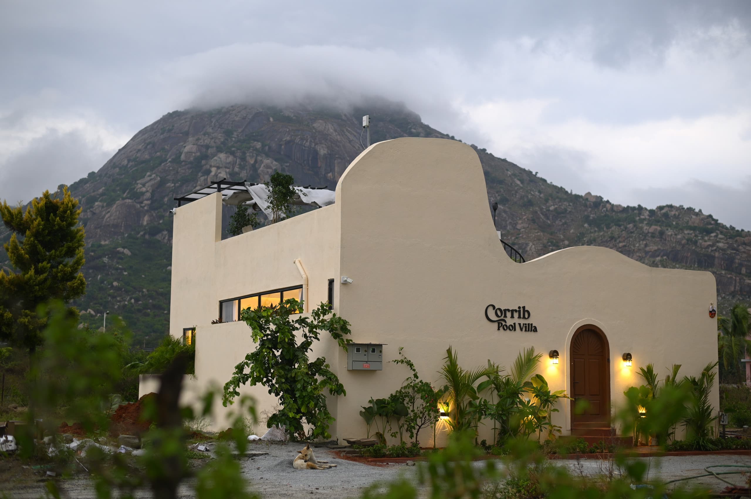 Corrib Pool Villa in Nandi Hills — photo 2