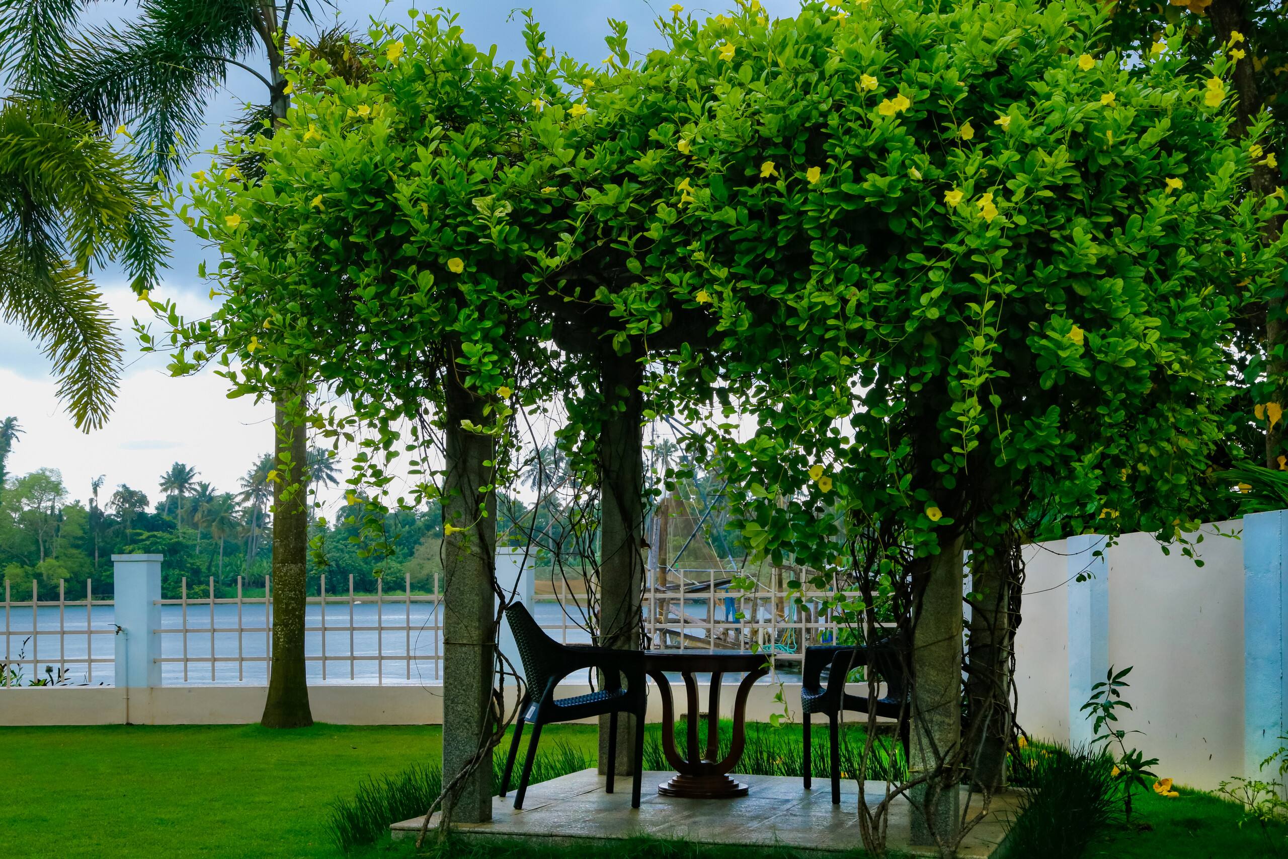 Lake View (Entire) Home in Kochi (River Whisper) 28