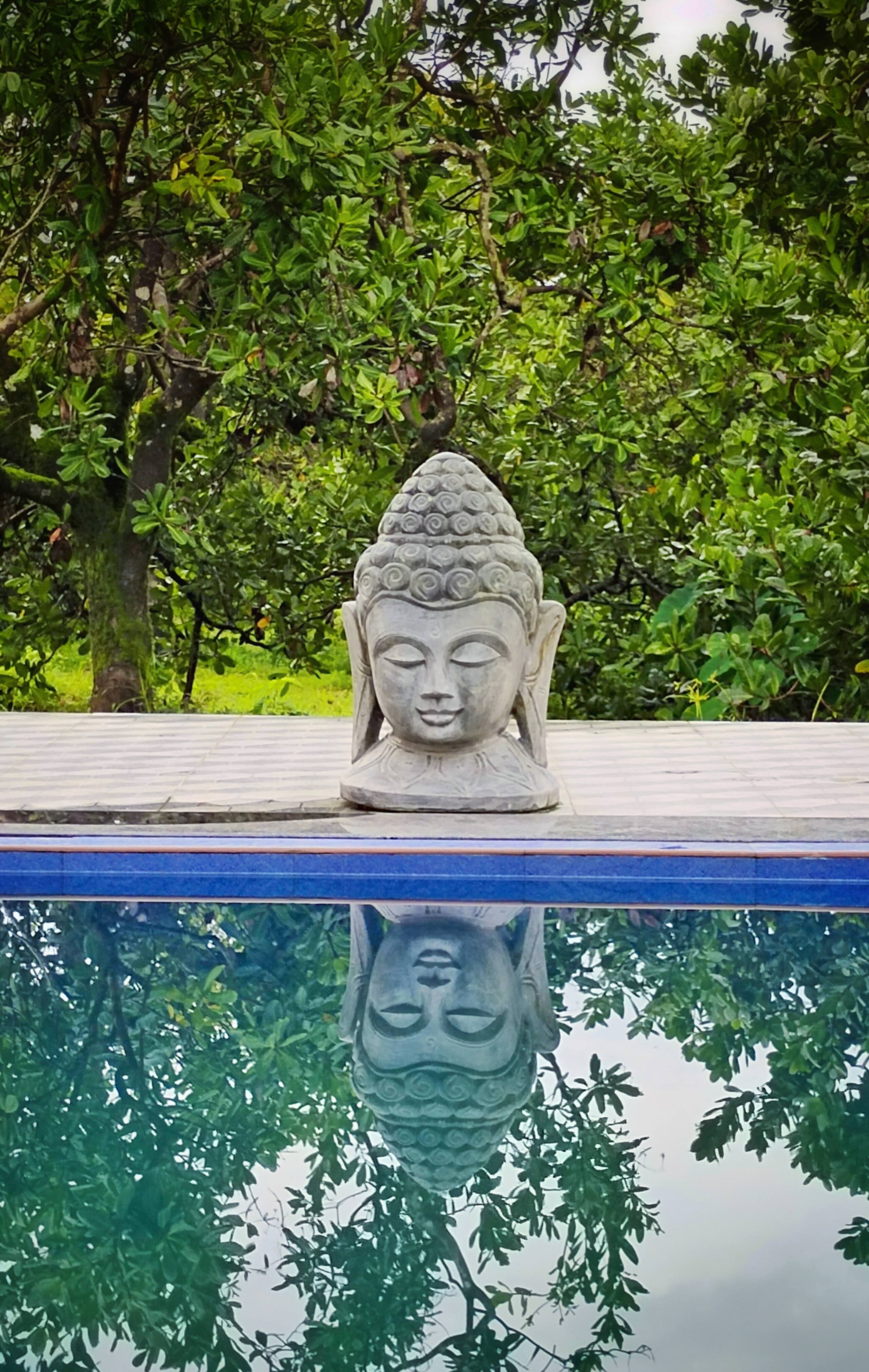 Echoes of Nature – Kalavady Farm Stay 8