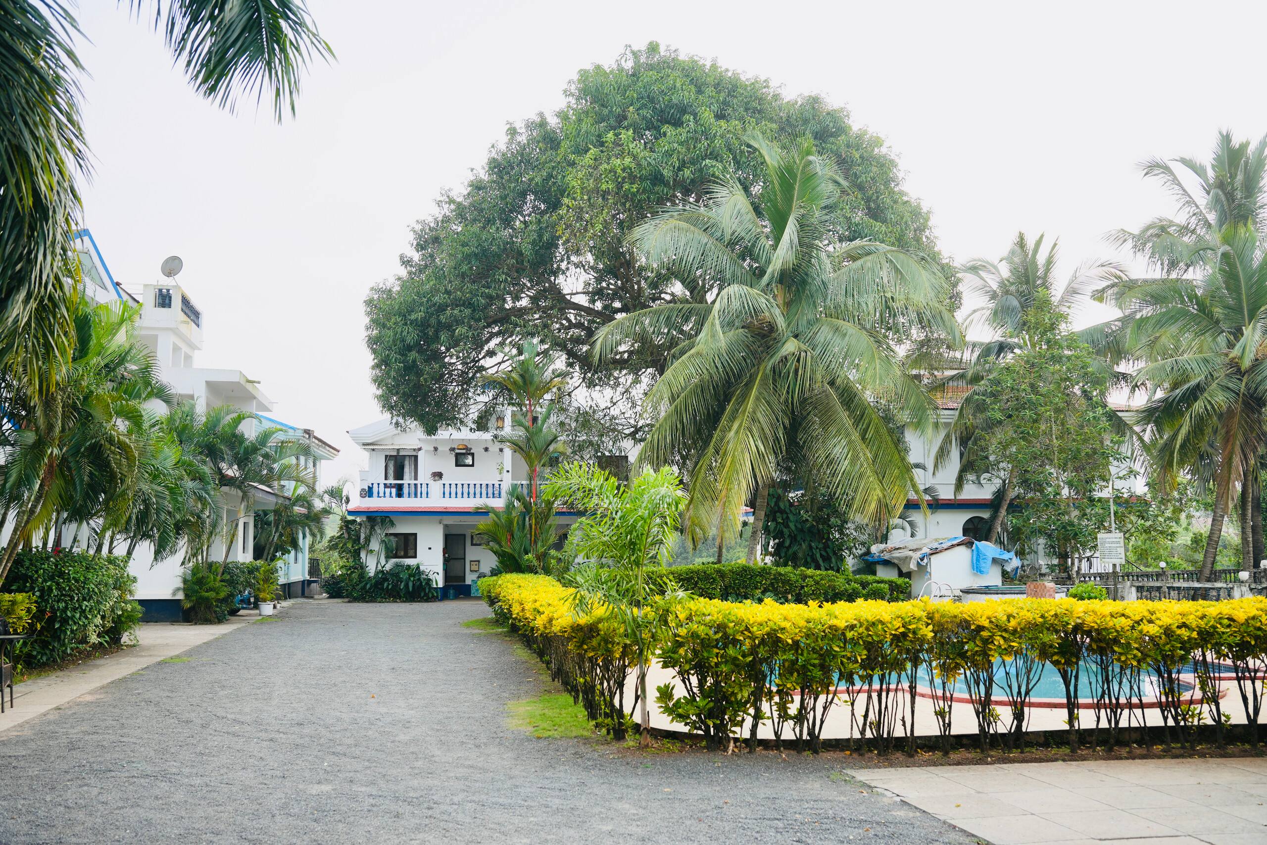 Villa Pearl | Arpora | Pool | 5mins to Baga Beach. 19
