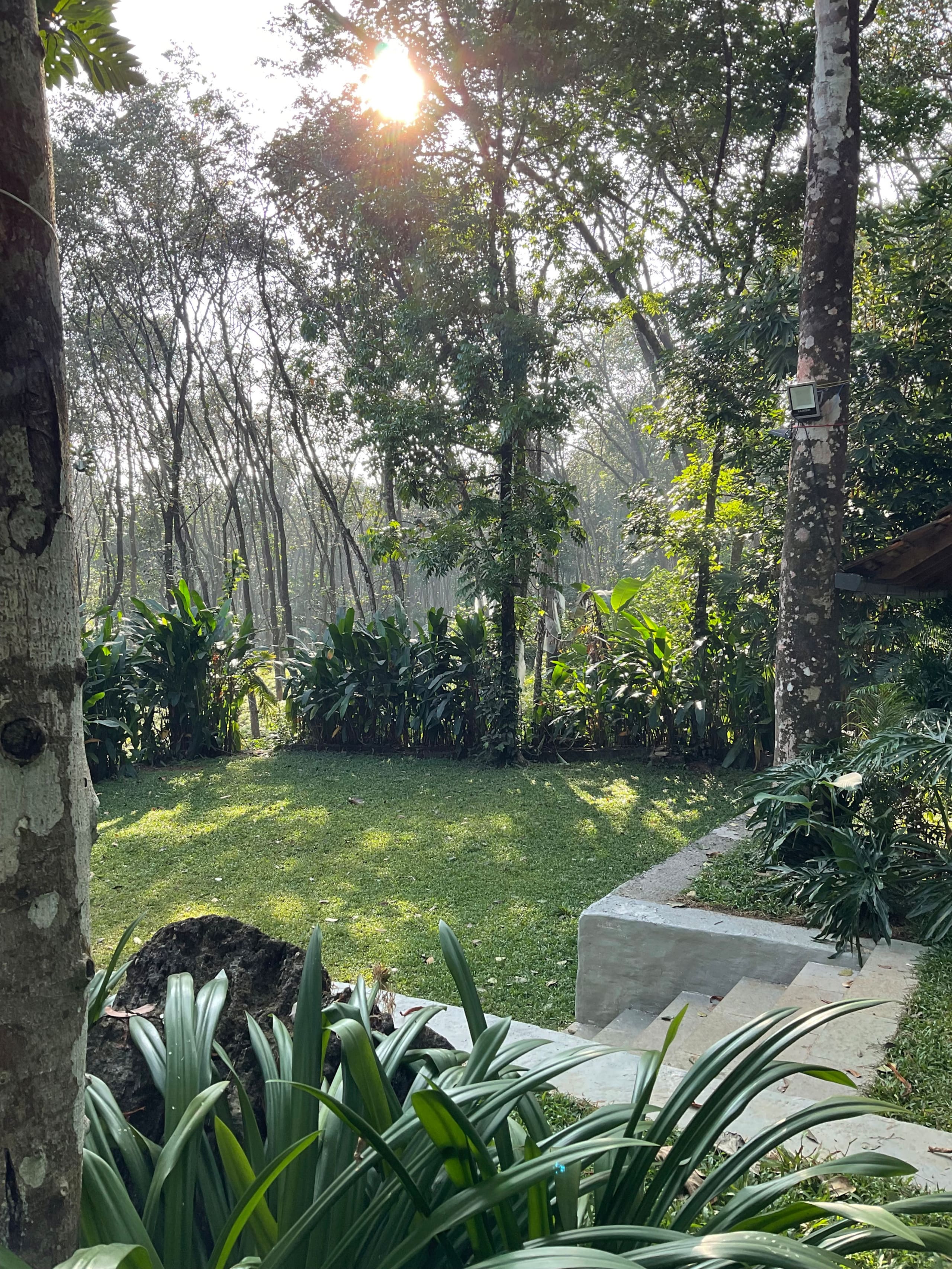 Pool Villa - The Humming Trees 24