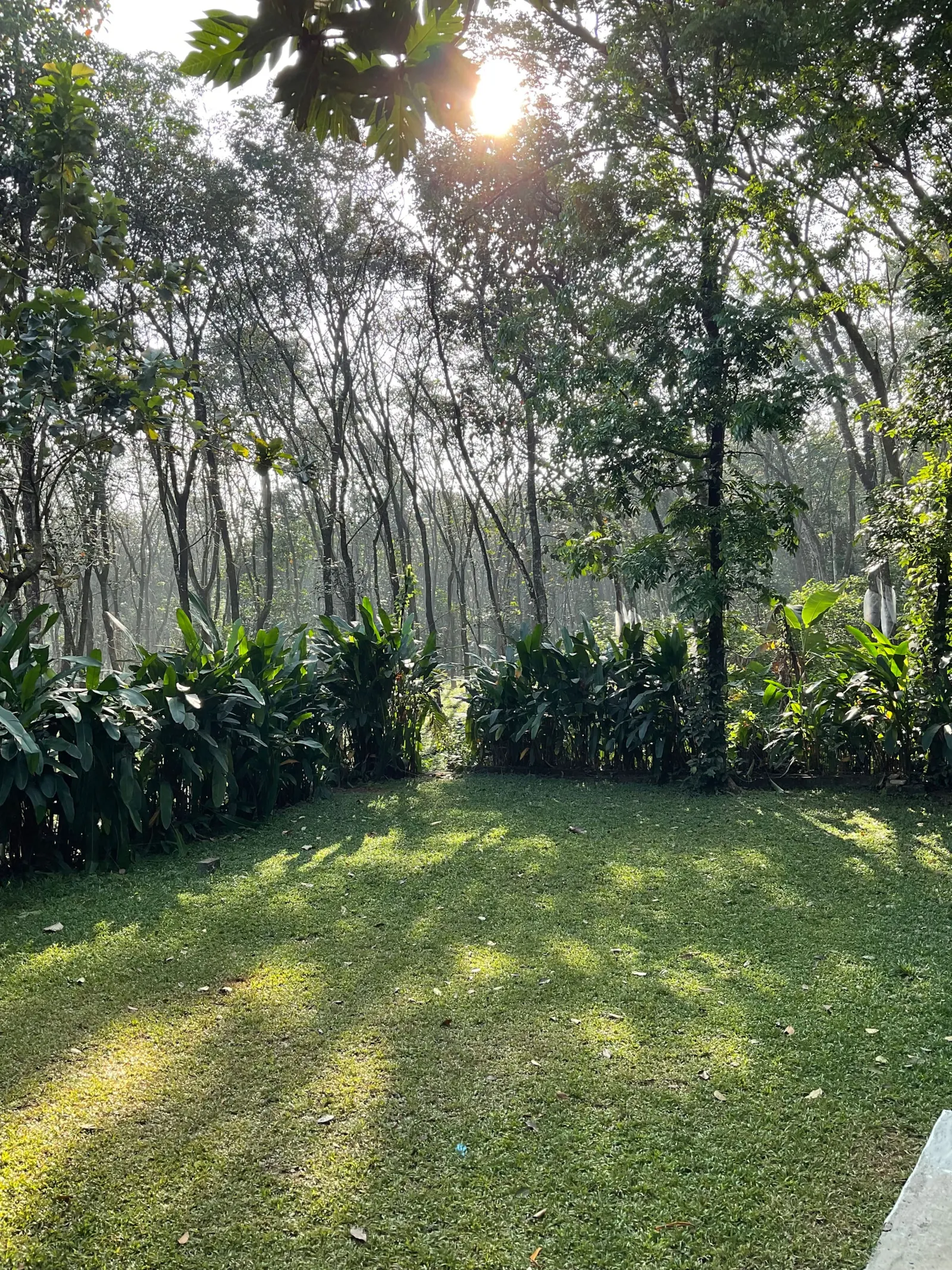 Pool Villa - The Humming Trees 17