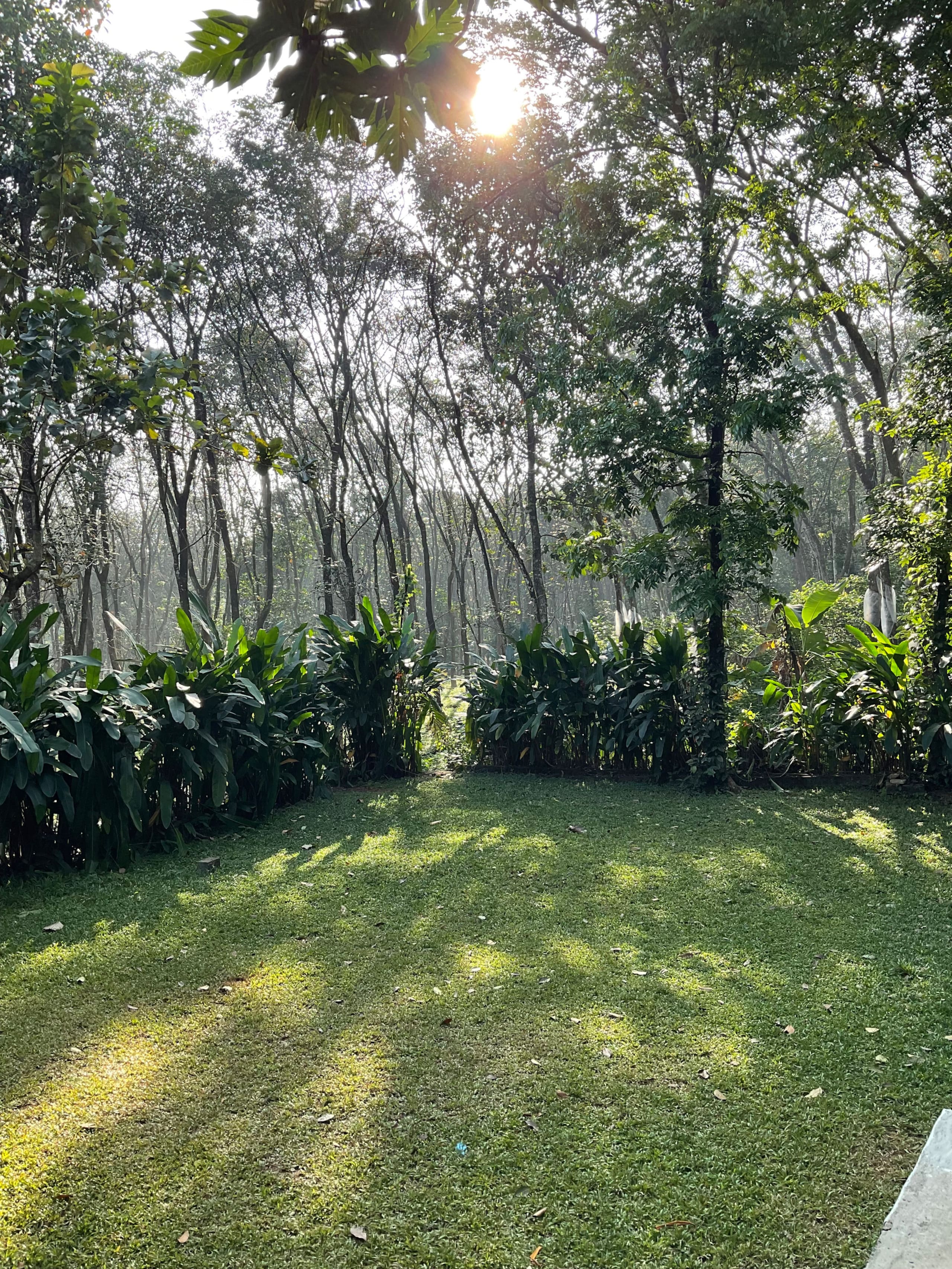 Pool Villa - The Humming Trees 17