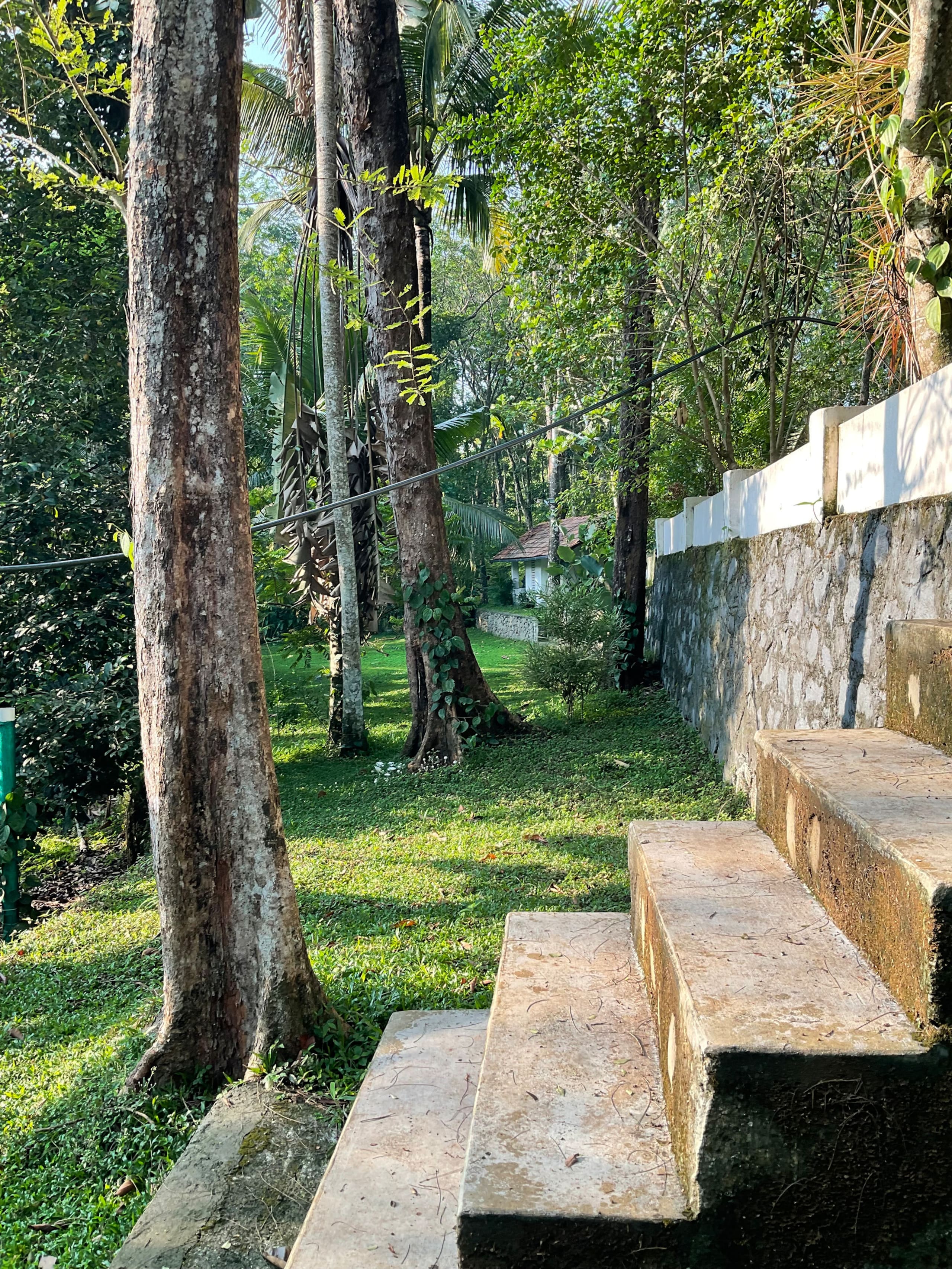Pool Villa - The Humming Trees 34