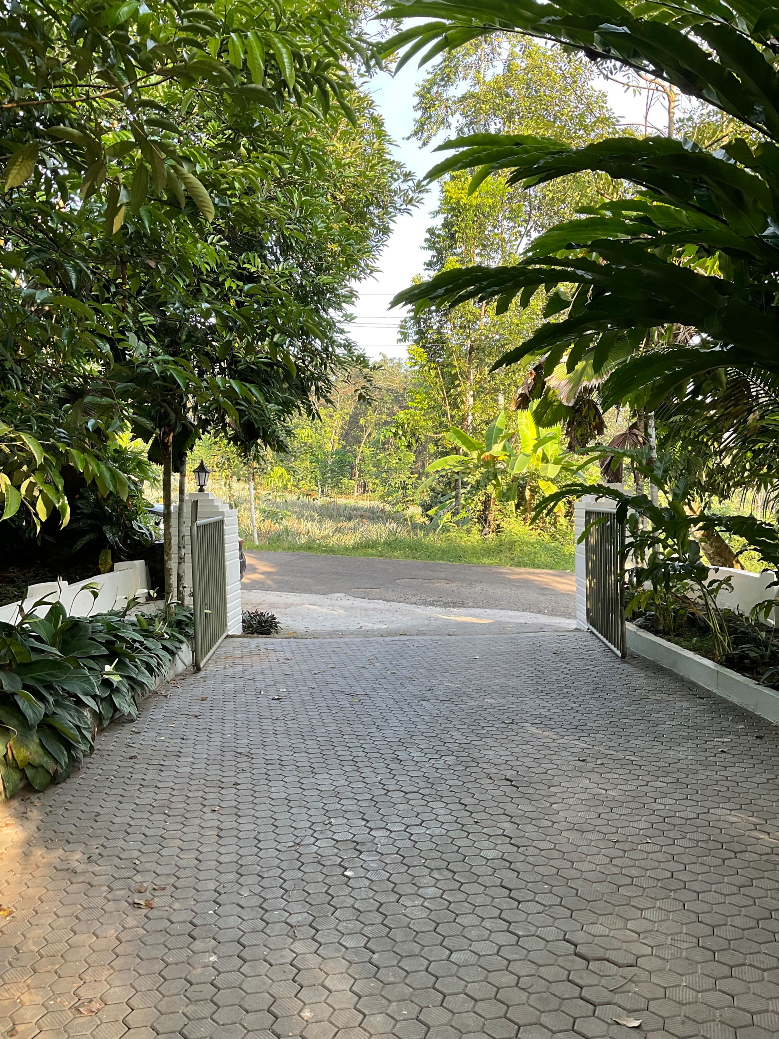Pool Villa - The Humming Trees 5