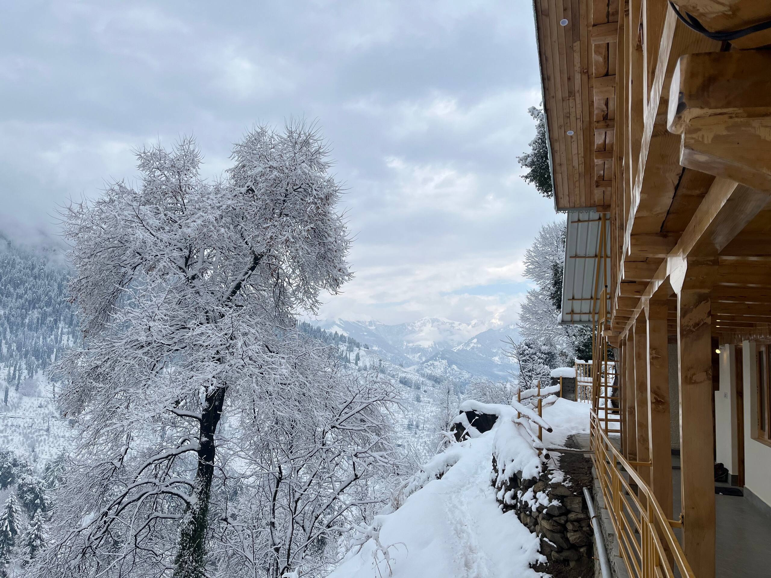 A Beautiful Traveller's homestay 30