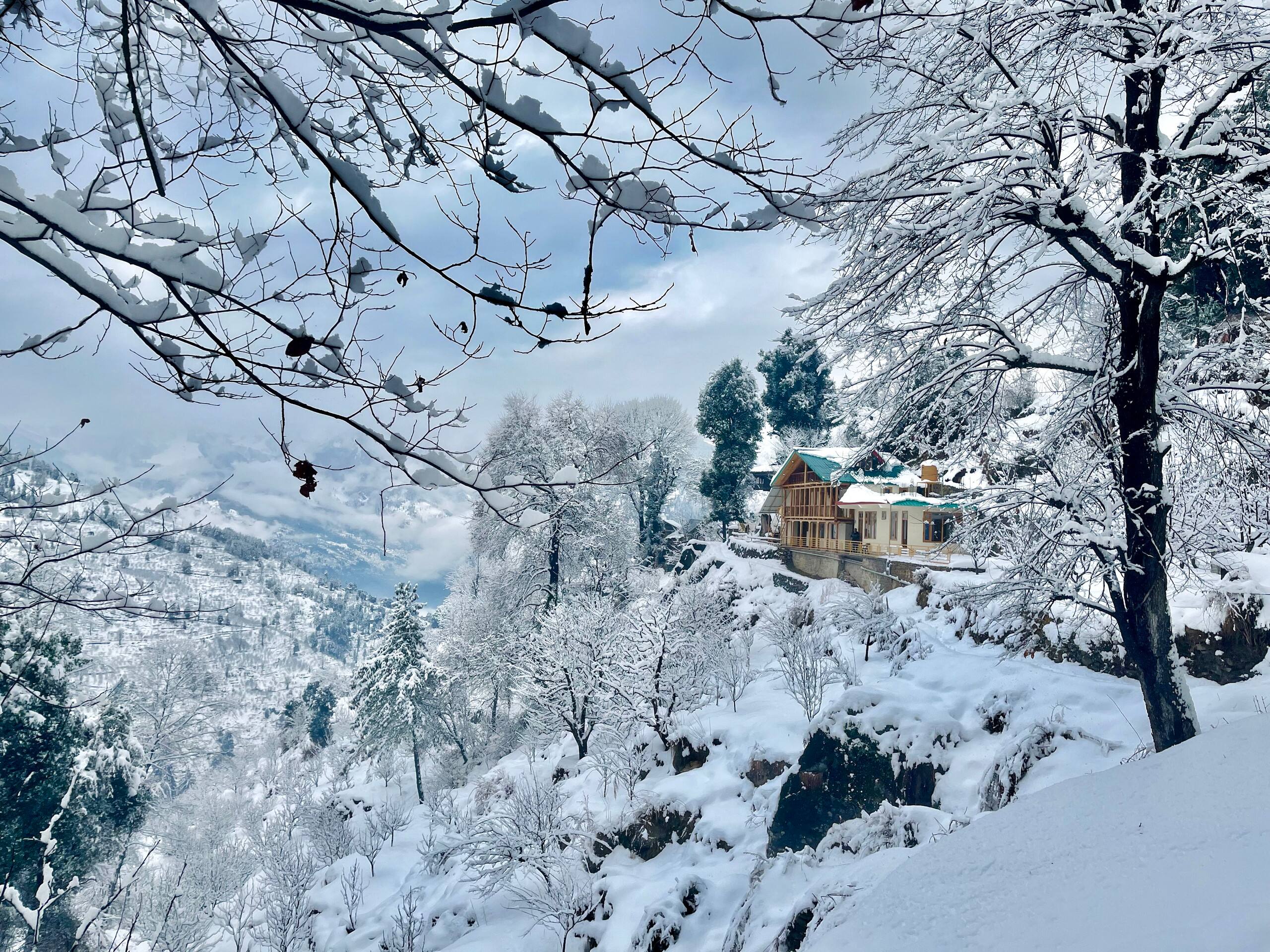 A Beautiful Traveller's homestay — photo 3