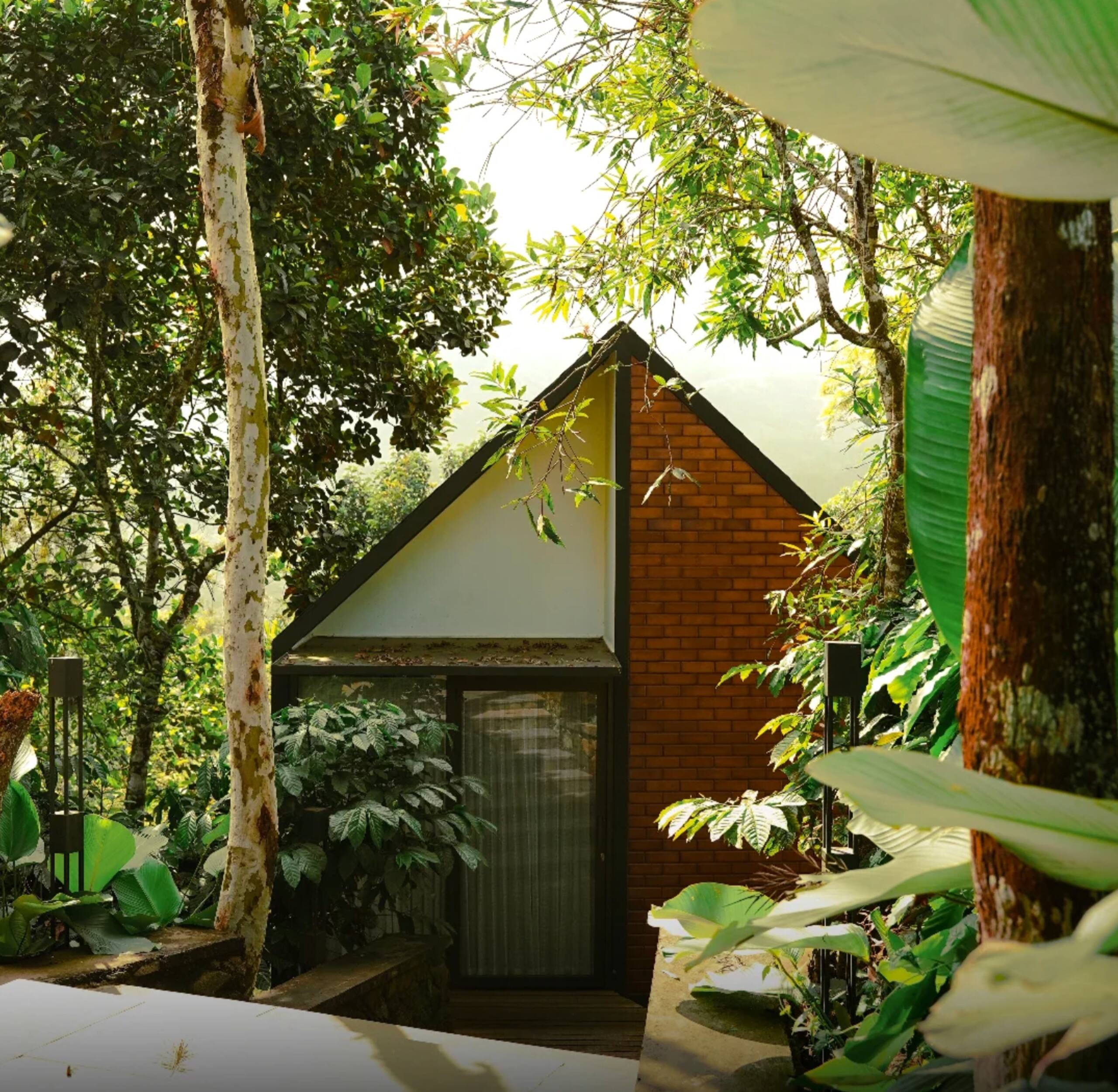 Sky Bed Cottage | Mountain peak view 3