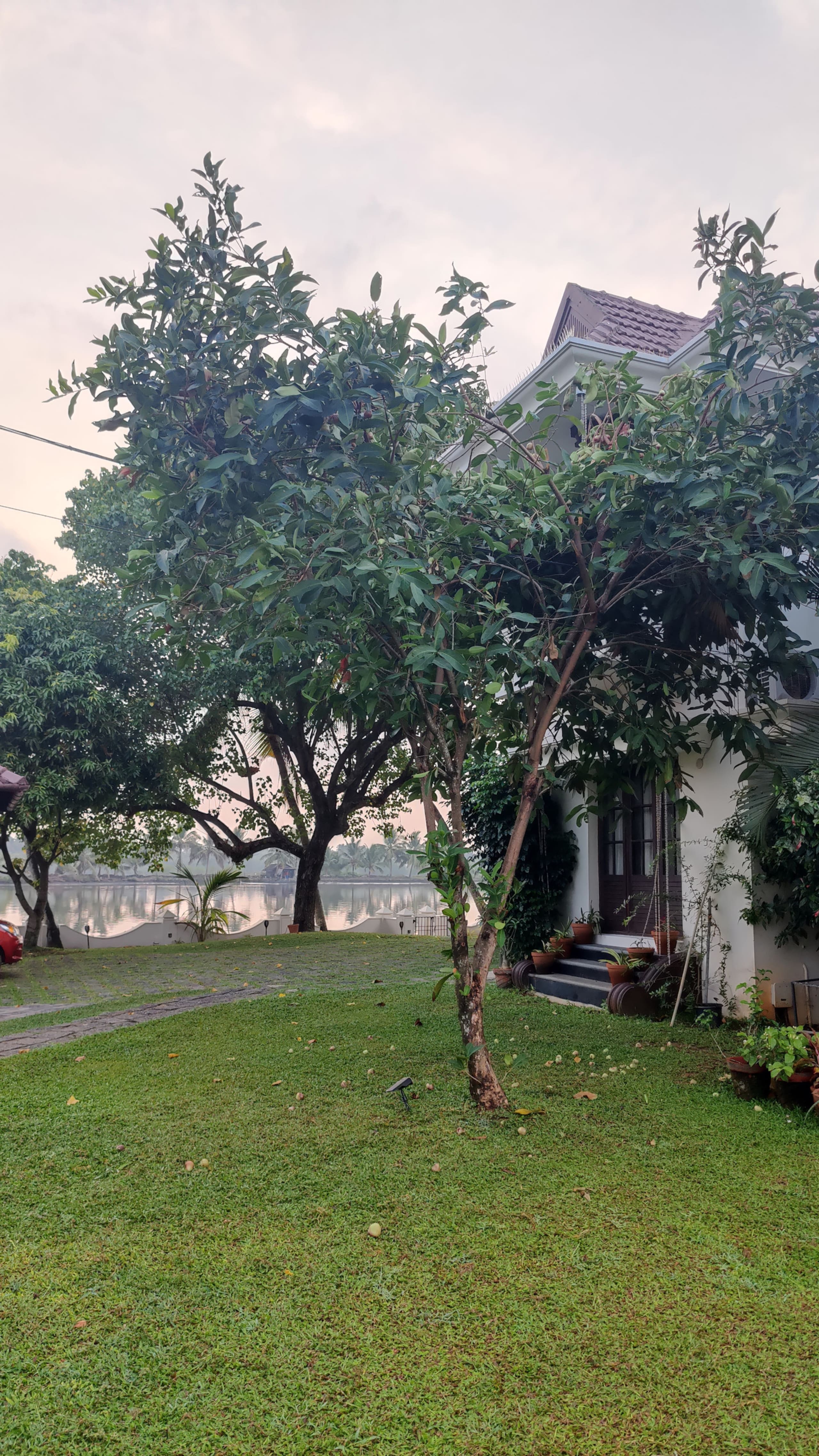 The Ambassador's Residence:Lakeside Villa in Kochi 16