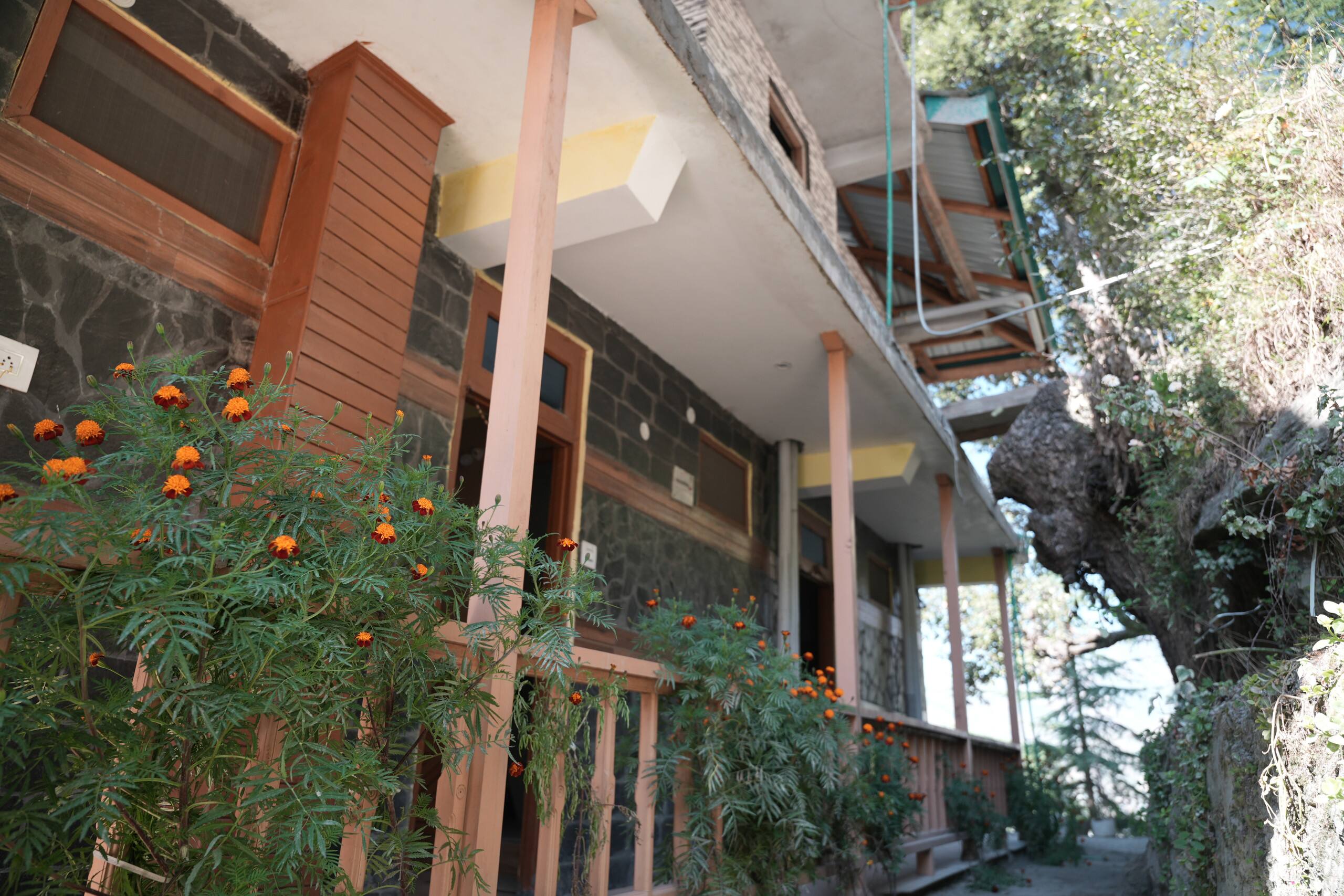 Banjara House: Jibhi Retreat 3