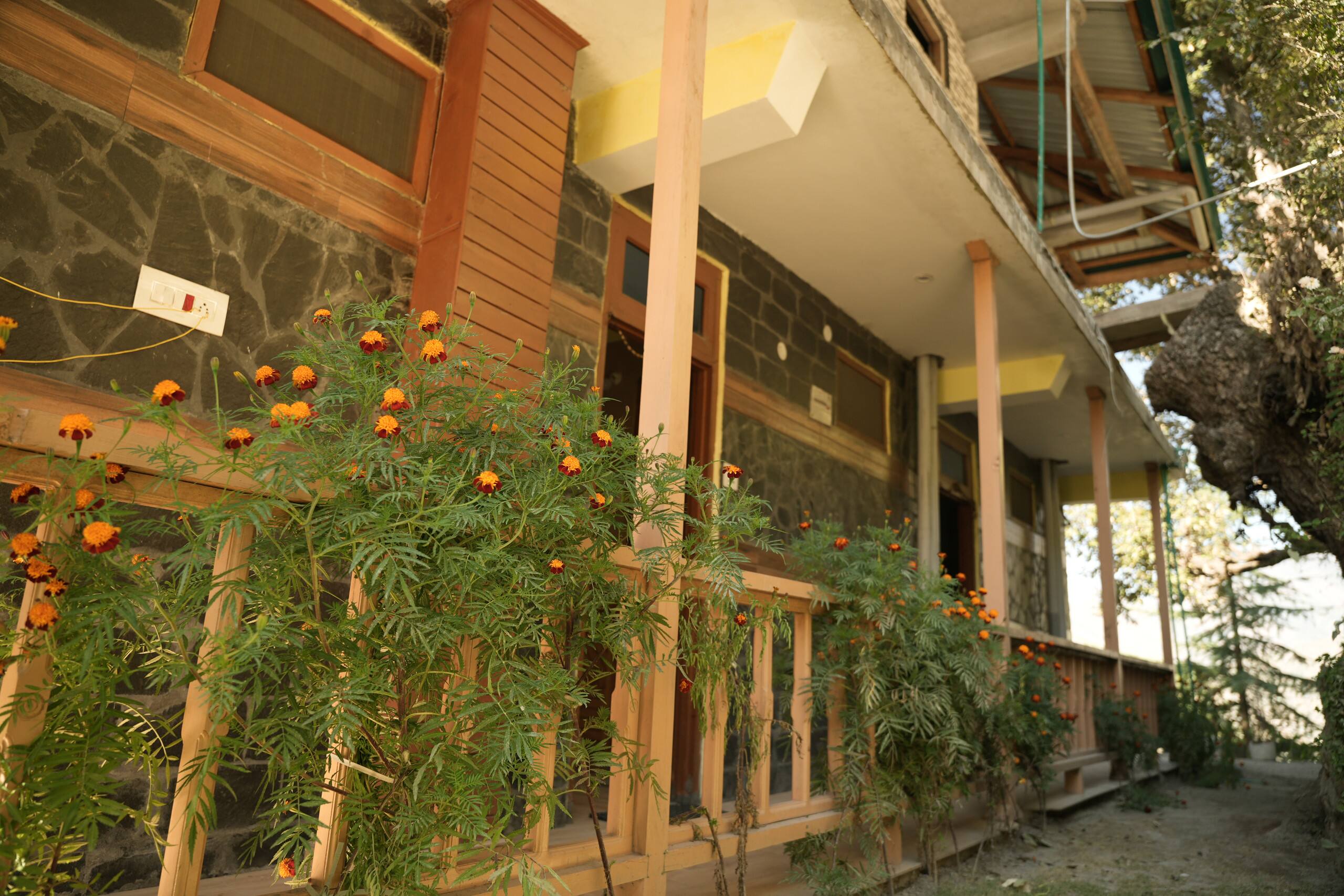 Banjara House: Jibhi Retreat 16