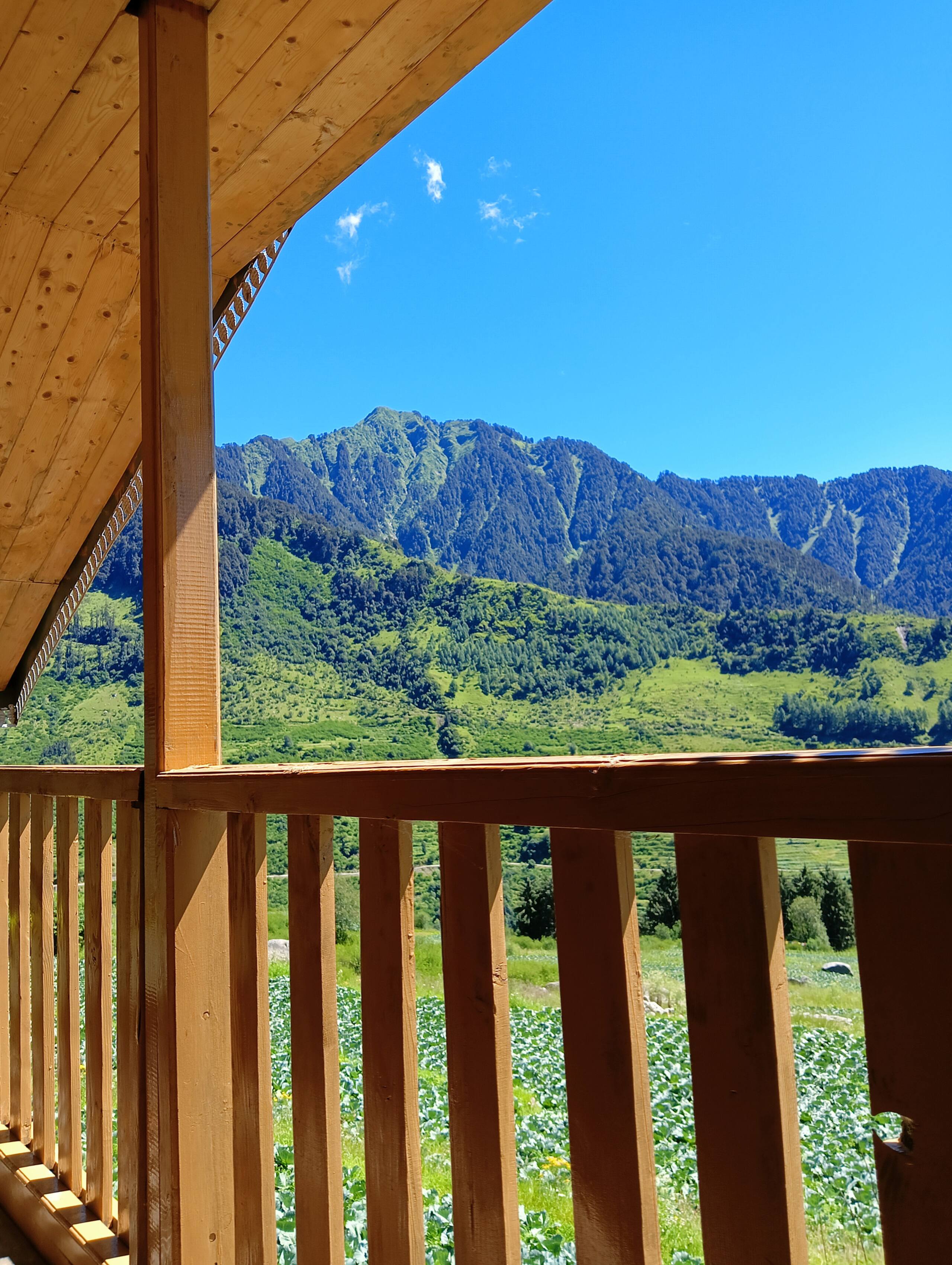 The Rajgundha Cabins 12