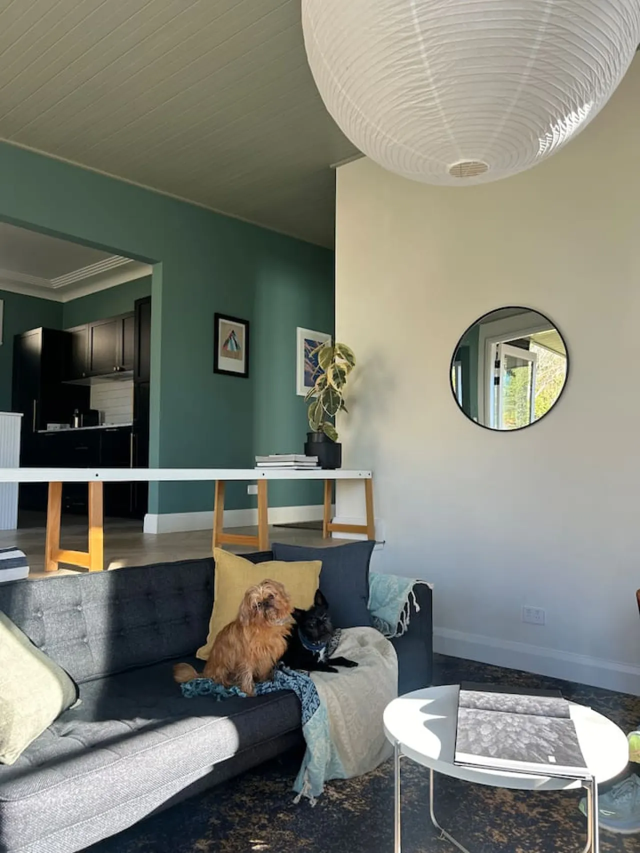 Ayla Cottage - Cosy Escape, Pet Friendly 14
