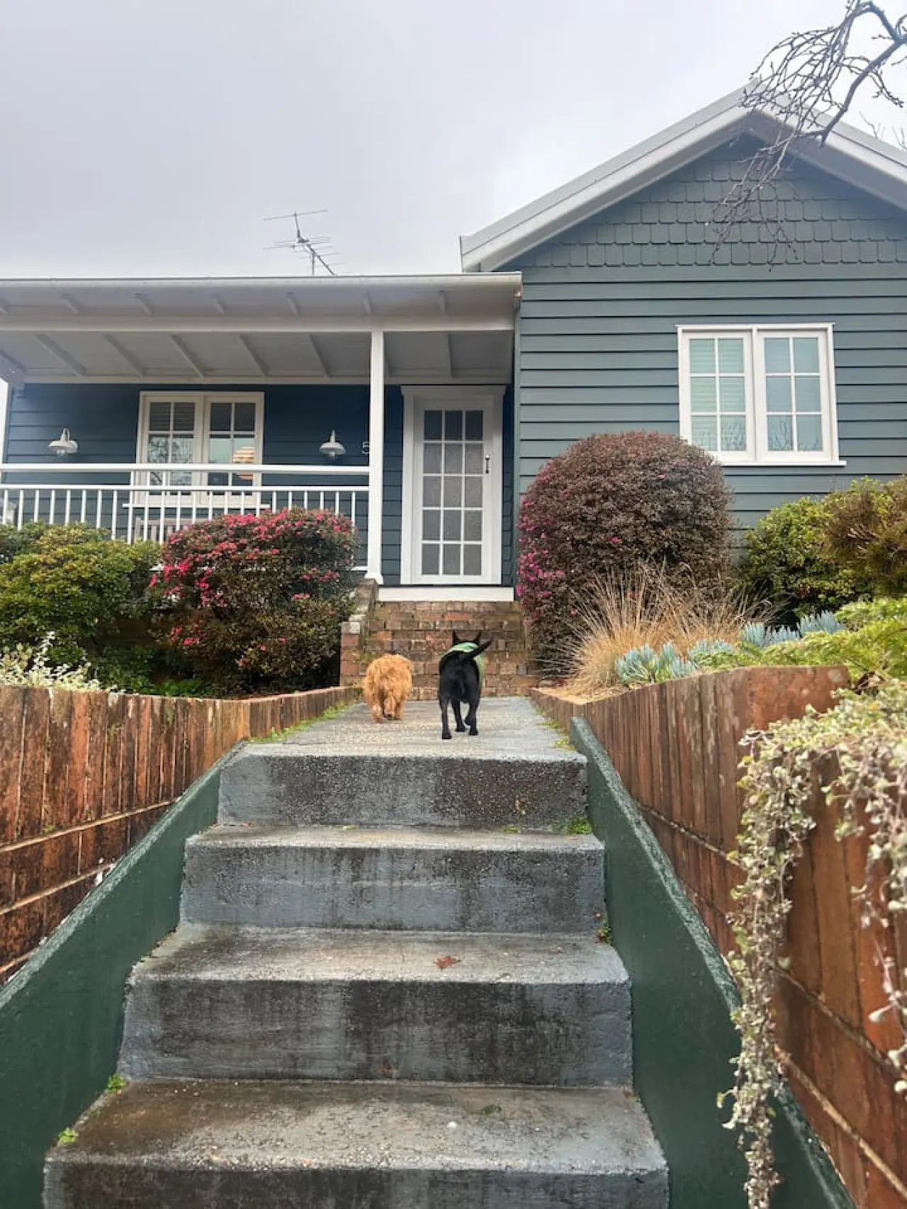 Ayla Cottage - Cosy Escape, Pet Friendly 16