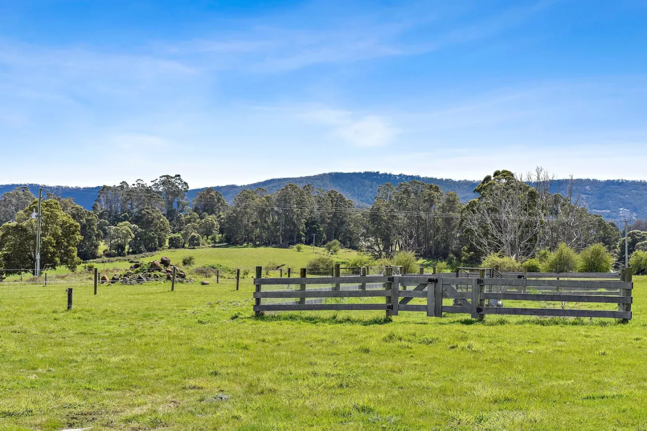 Wakefields - Mole Creek 17