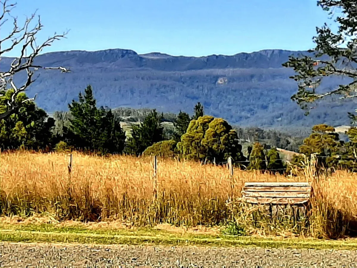 Wakefields - Mole Creek 20