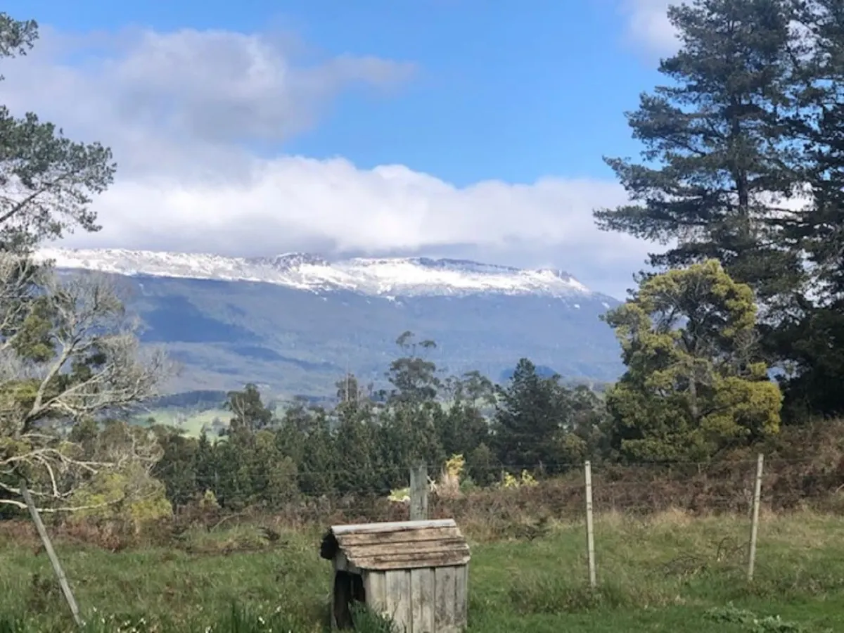Wakefields - Mole Creek 8