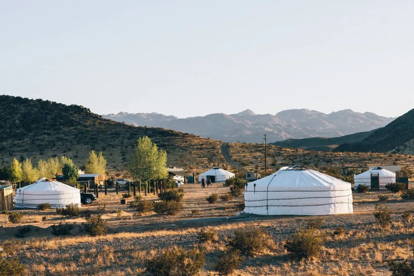 28 Palms Ranch Stargazing Yurt #3 · Stargazing Mongolian Yurt JTNP — photo 2
