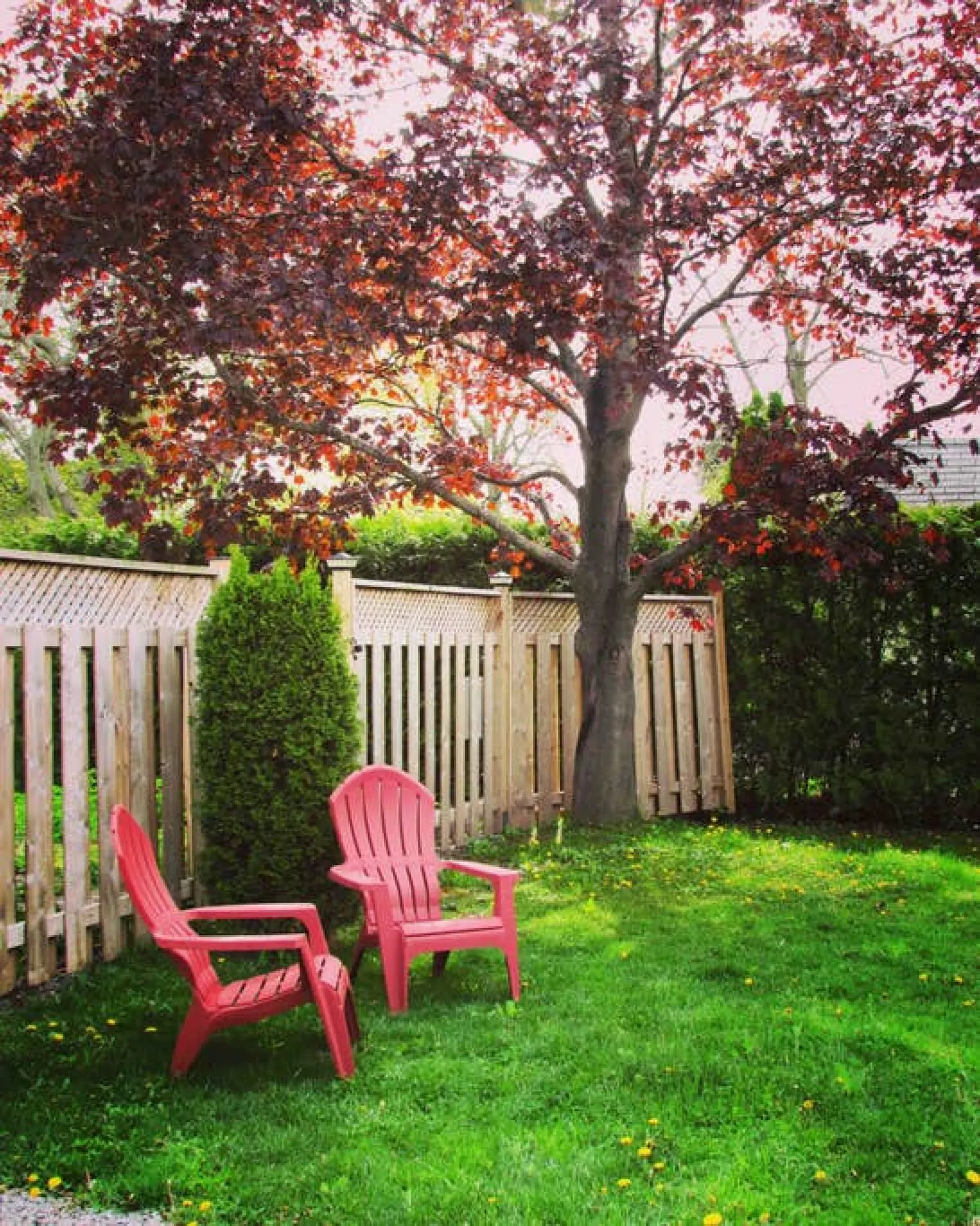 Oak Street Cottage - 3BRM with Backyard Retreat 15