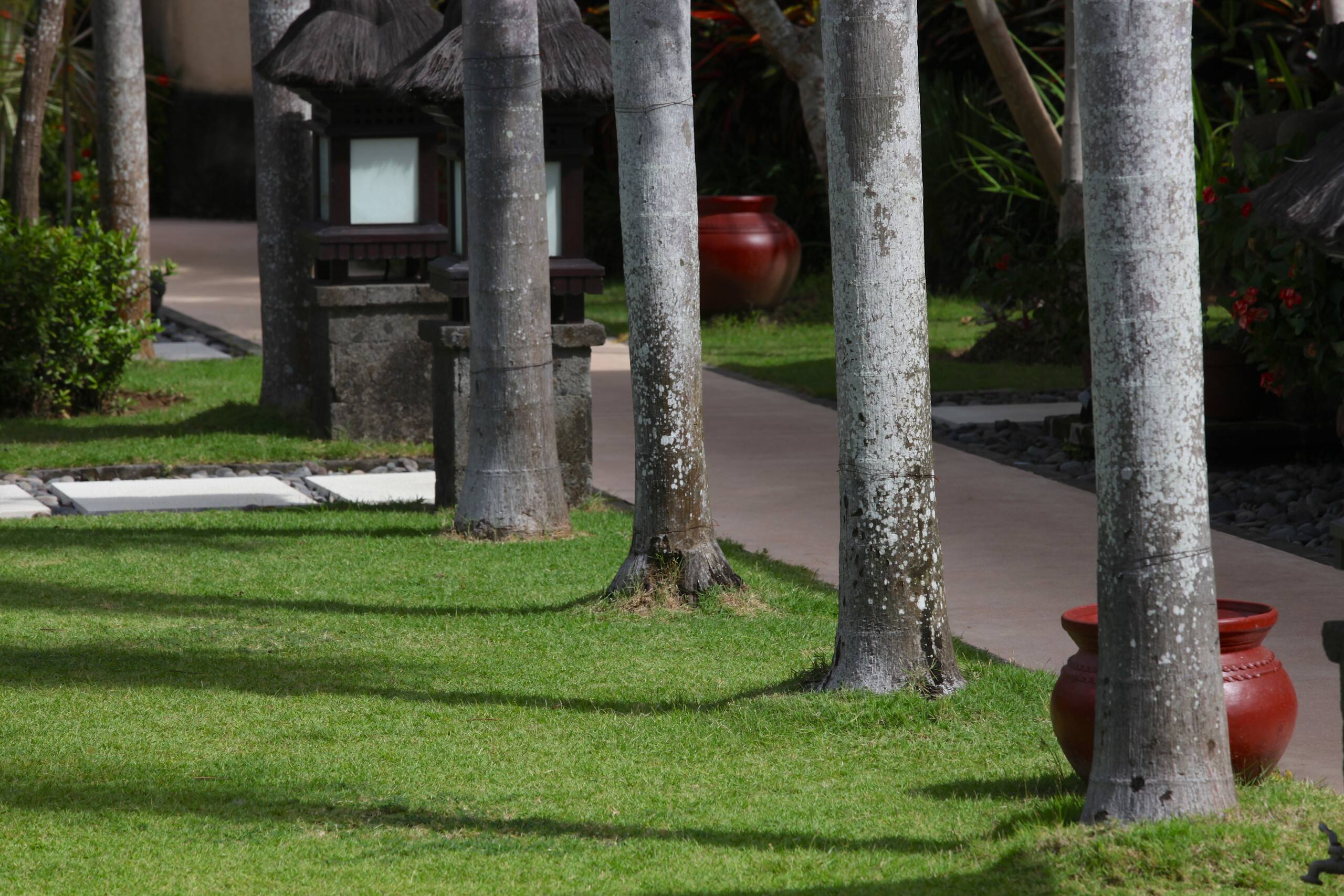 Your Private Peaceful Retreat in Uluwatu 19