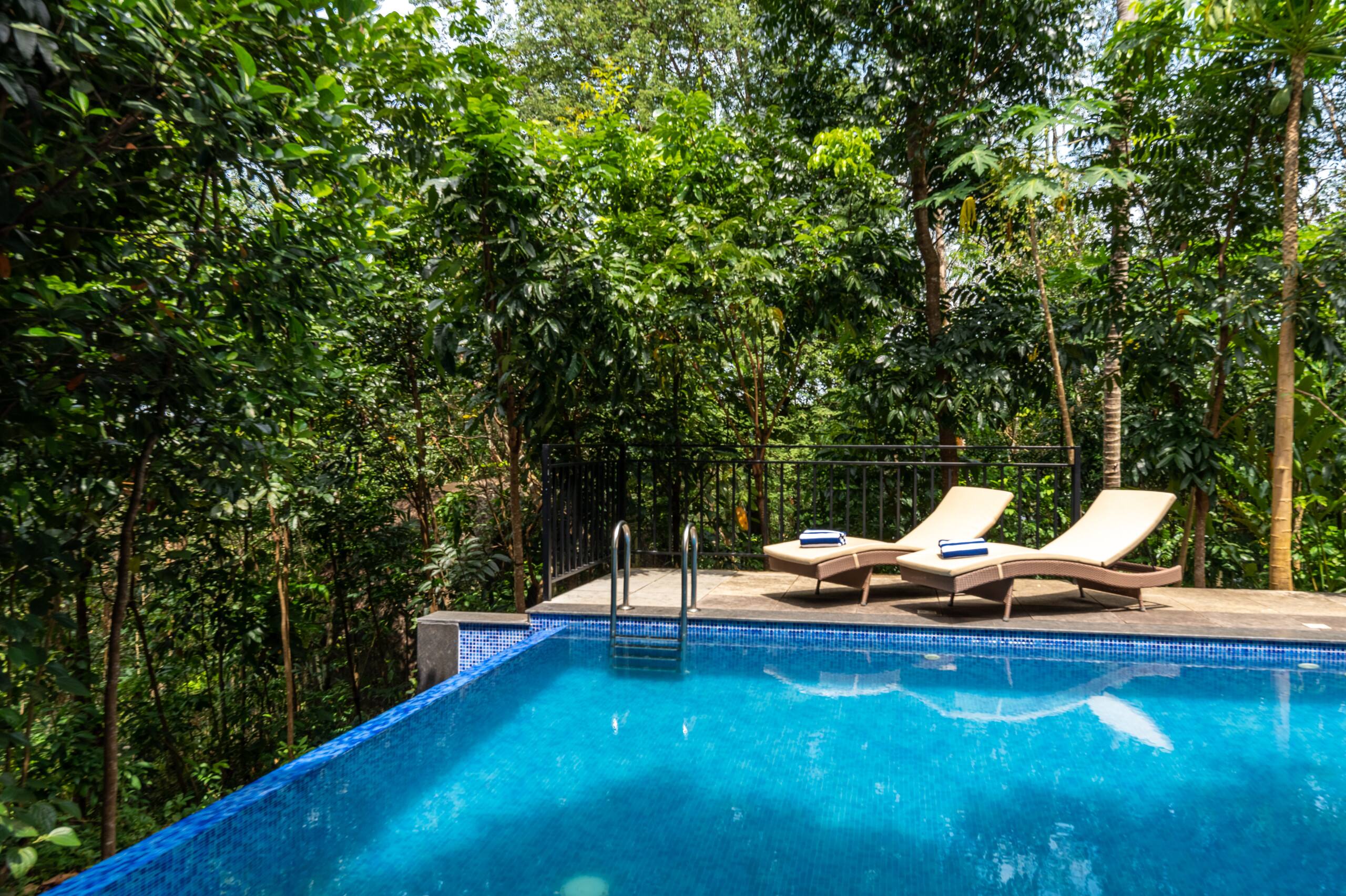 Cottage w pool overlooking Jatayu | Arayaal 5