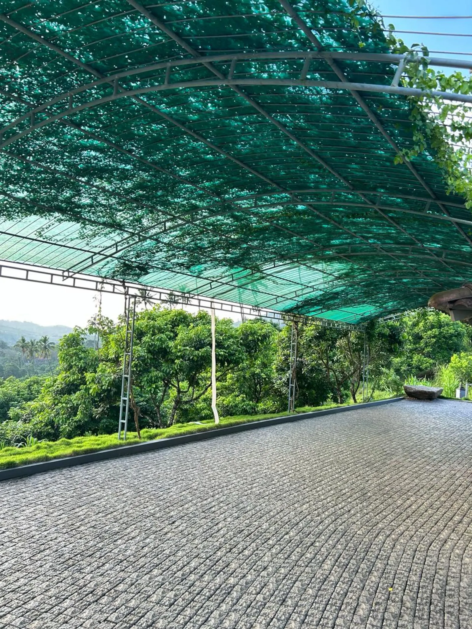 Kudayathoor Mountain Vista - Luxury Farmstay 15