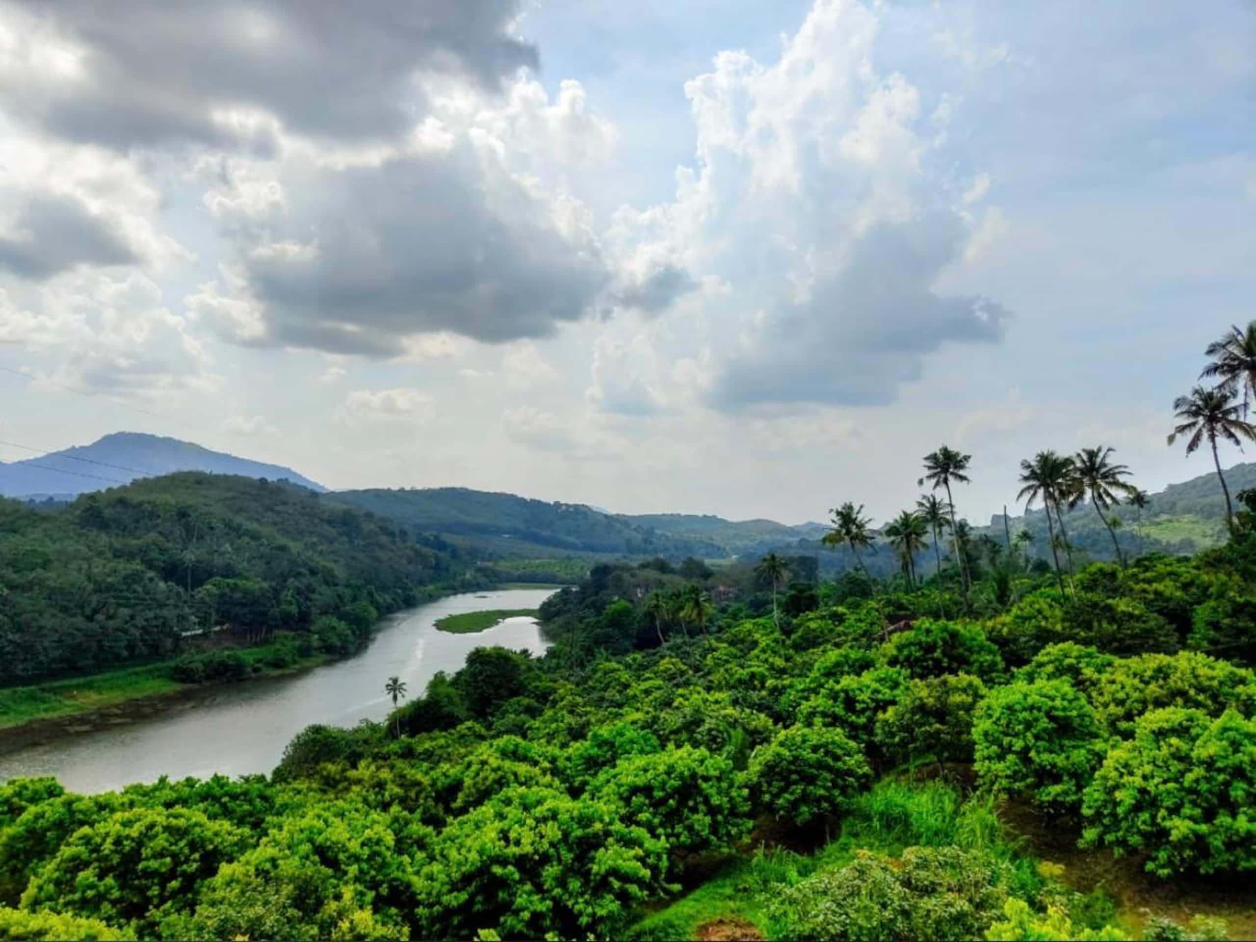 Kudayathoor Mountain Vista - Luxury Farmstay 21