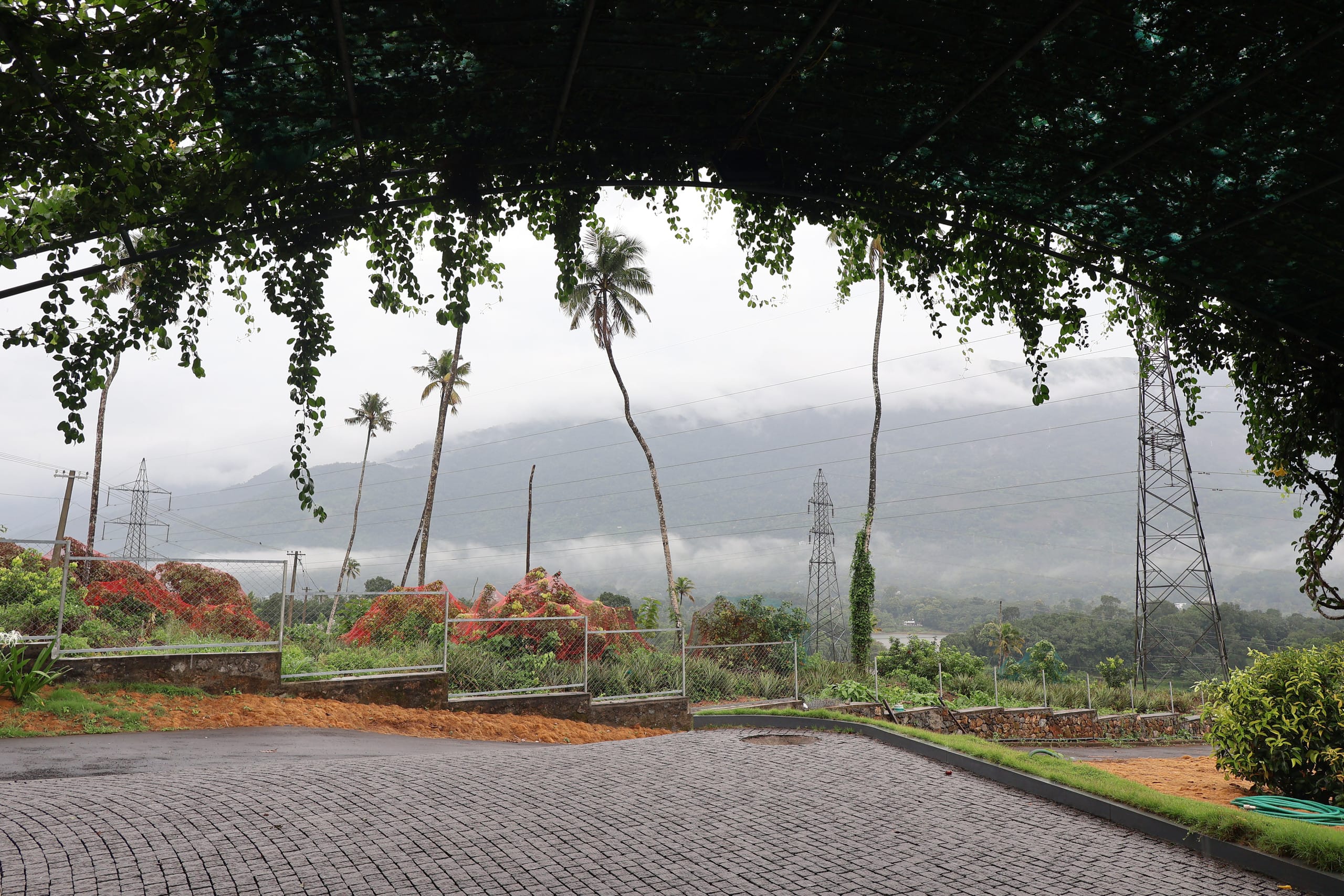 Kudayathoor Mountain Vista - Luxury Farmstay 38