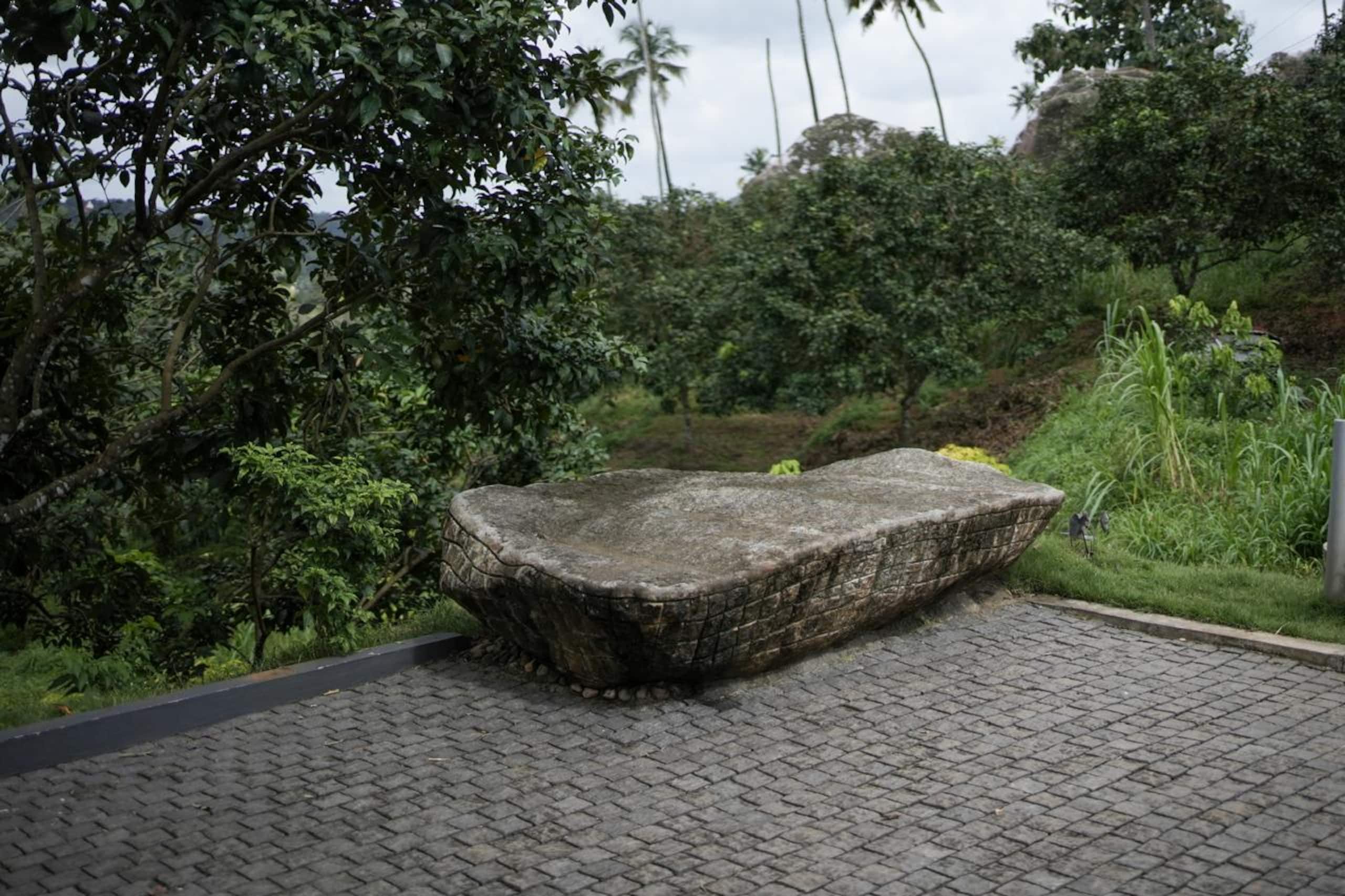 Kudayathoor Mountain Vista - Luxury Farmstay 24