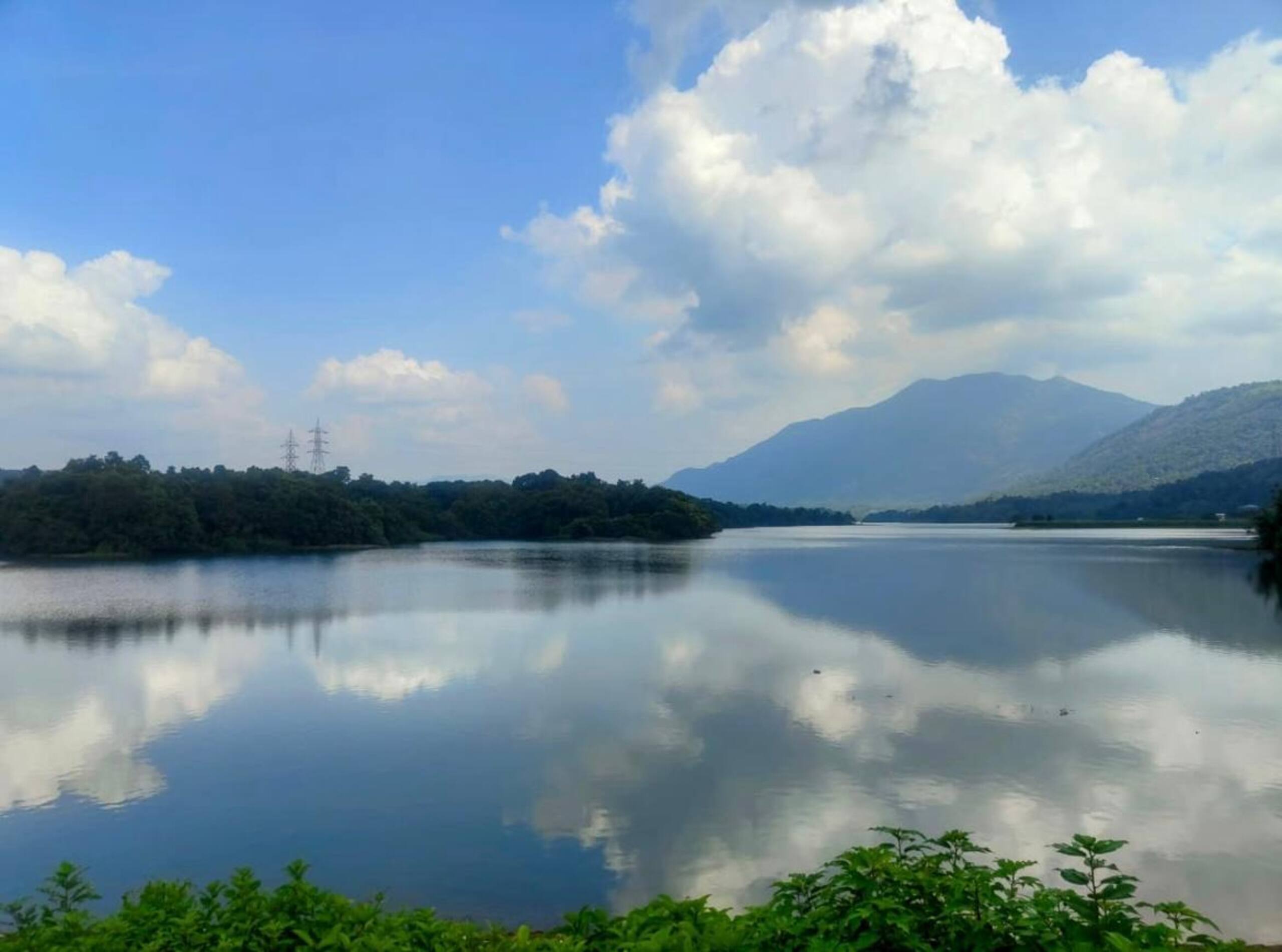 Kudayathoor Mountain Vista - Luxury Farmstay 19